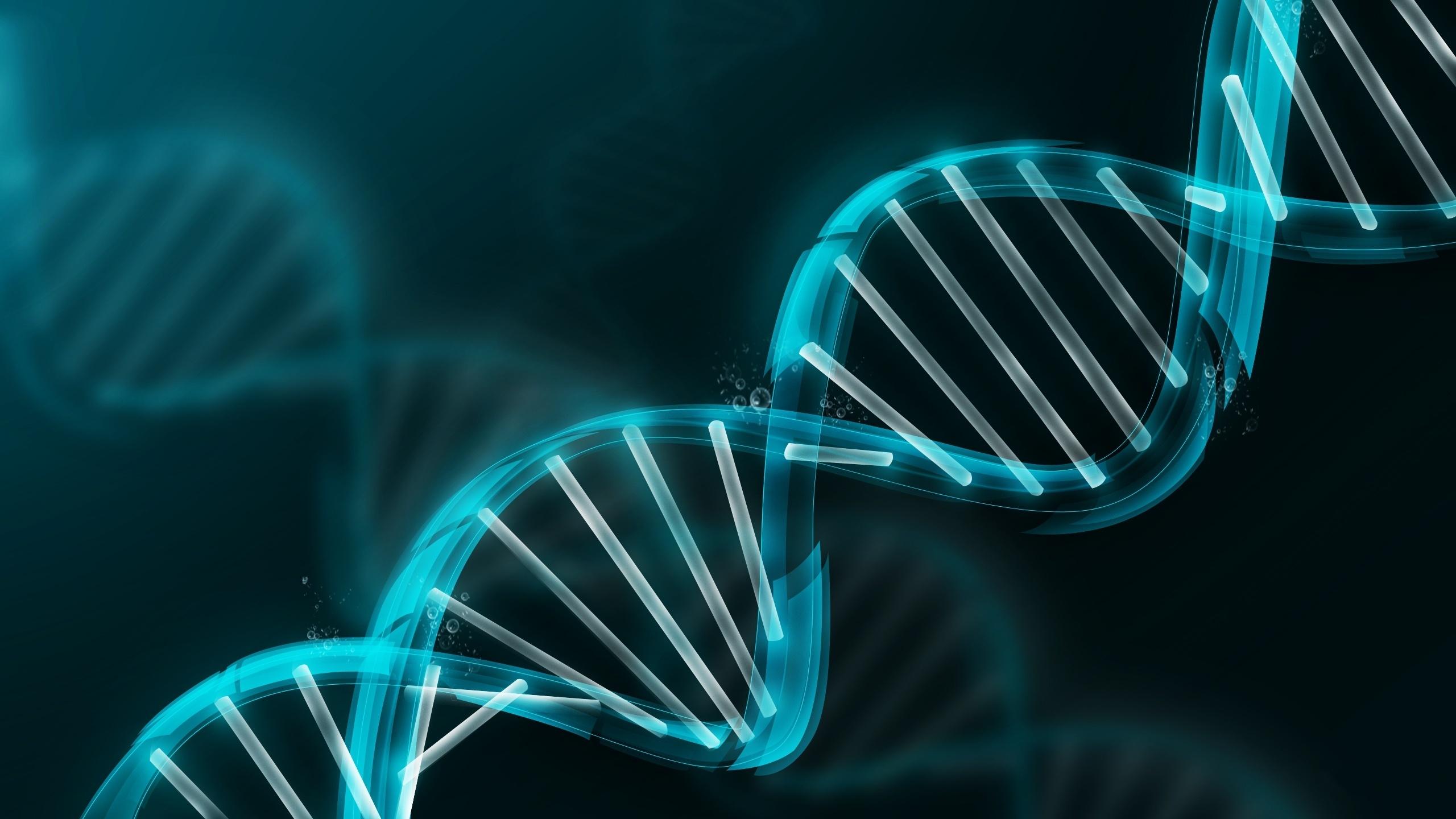 2560x1440 Scientists Look To DNA For Data Storage