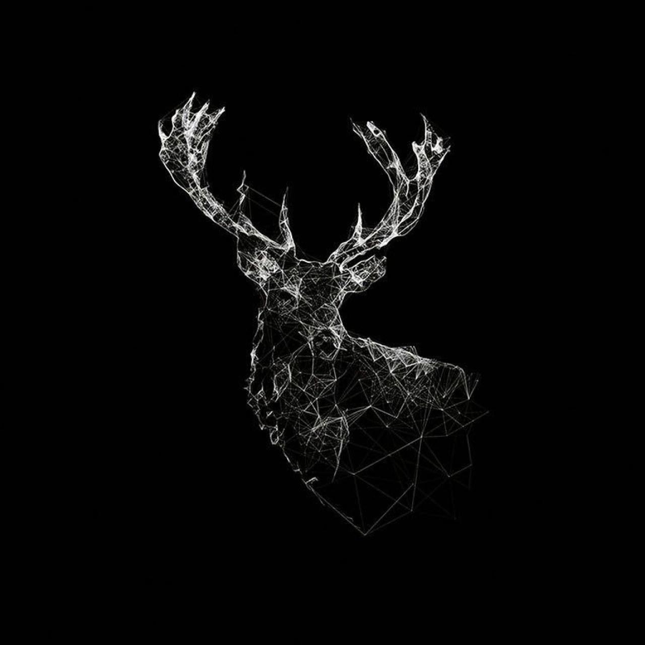 1280x1280 Aesthetic Black Wallpaper, Art, Deer • Wallpaper For You HD Wallpaper For Desktop & Mobile