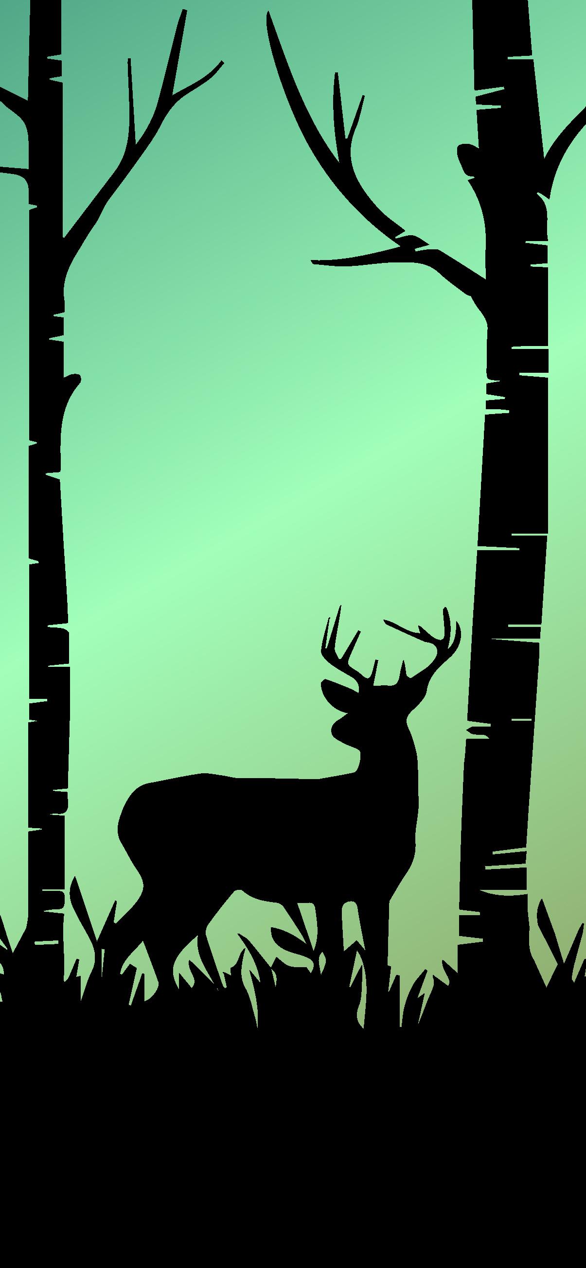 1205x2609 AMOLED WALLPAPER IPHONE HD IN FOREST