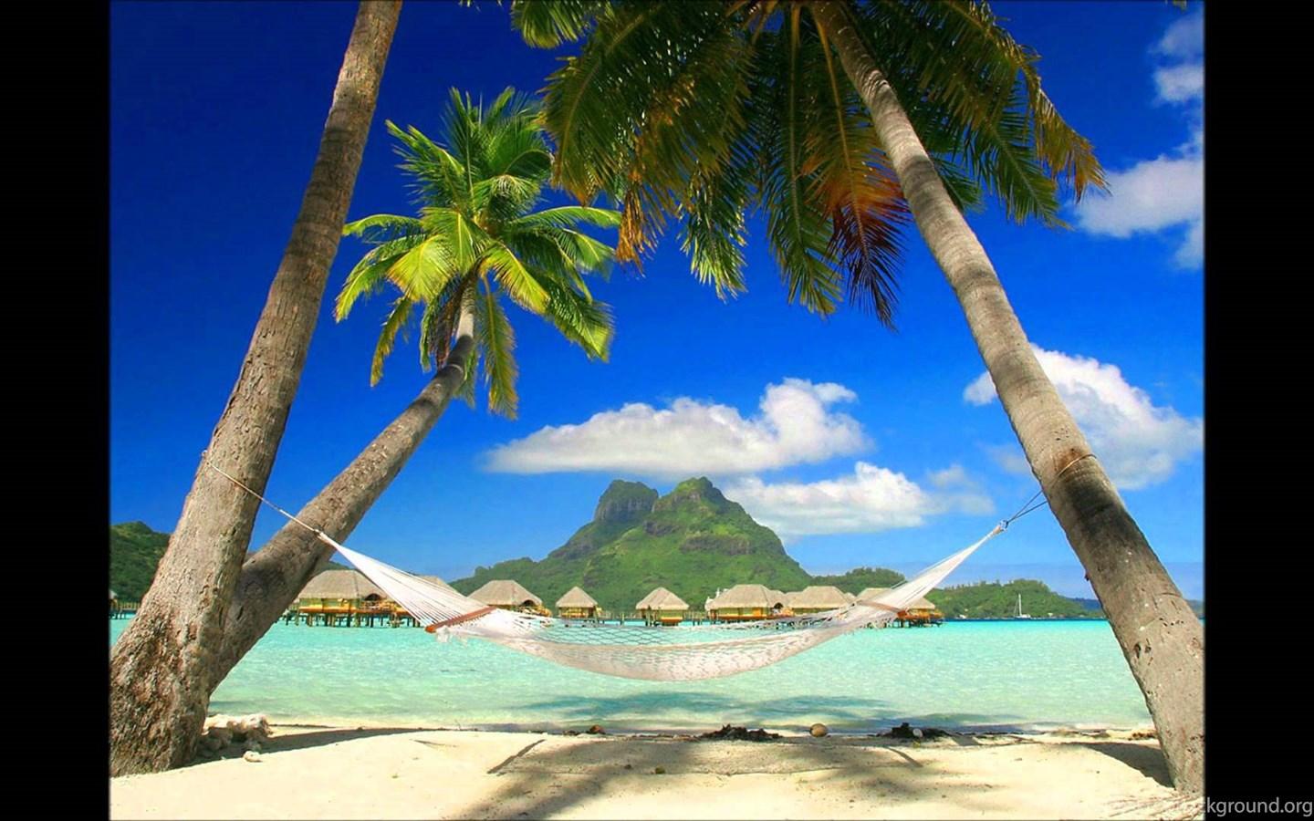 1440x900 Justpict.com Jimmy Buffett Wallpaper Image Desktop Background