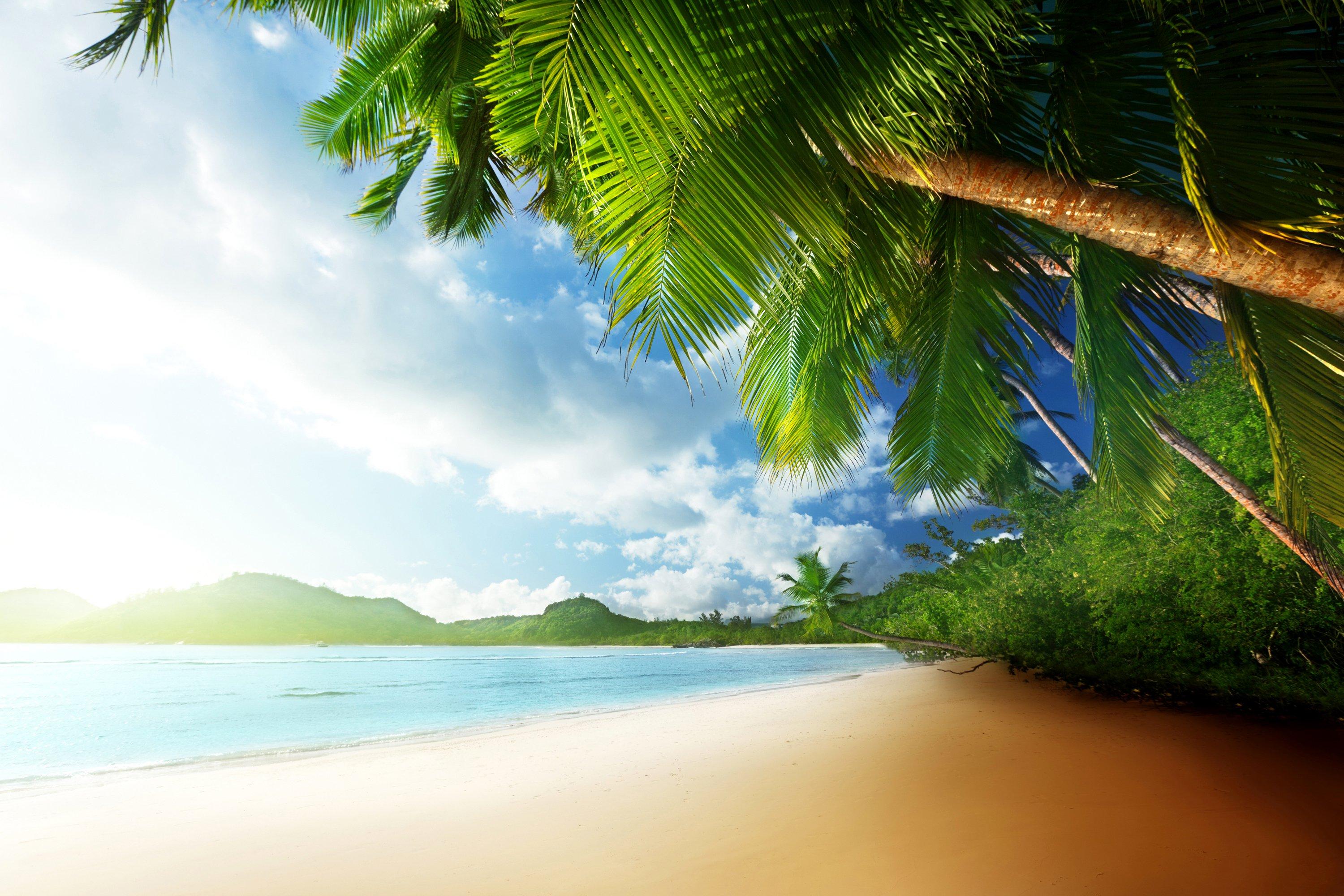 3000x2000 tropics, Coast, Palma, Clouds, Beach, Mahe, Island, Seychelles, Nature Wallpaper HD / Desktop and Mobile Background