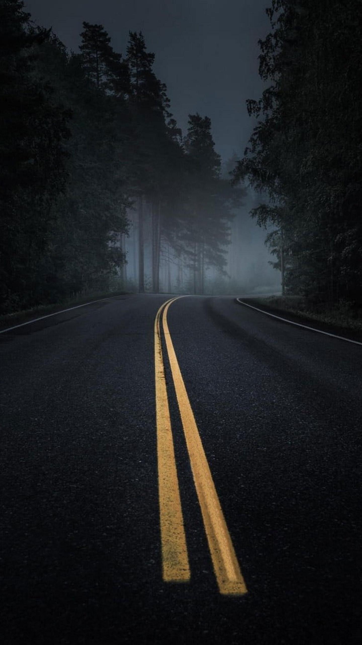 1440x2560 Road wallpaper, Mist, Dark, Asphalt, Night, Pine Trees, Forest • Wallpaper For You HD Wallpaper For Desktop & Mobile