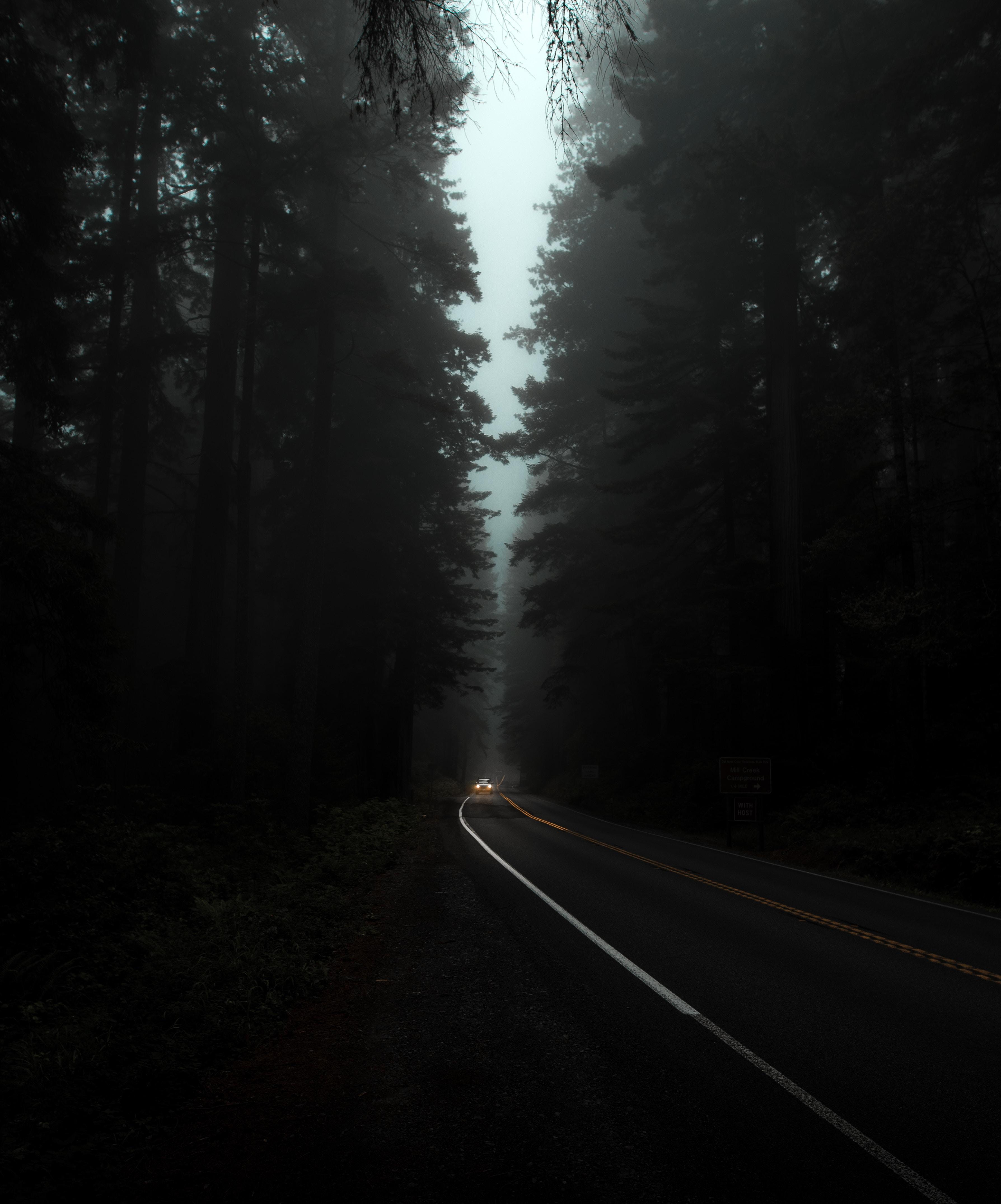 3576x4302 Forest Trees Mist Faded Dark Car Wallpaper:3576x4302