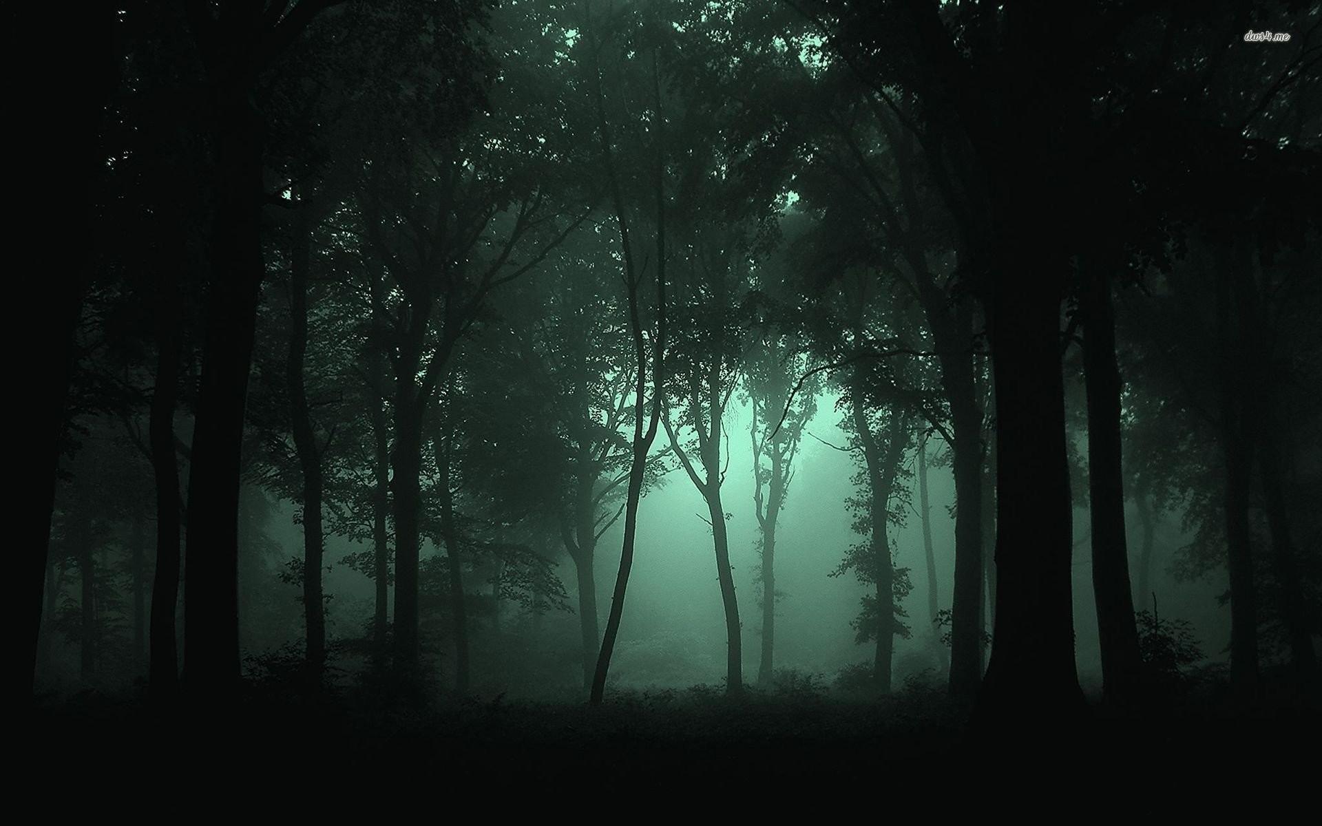 1920x1200 Foggy Forest