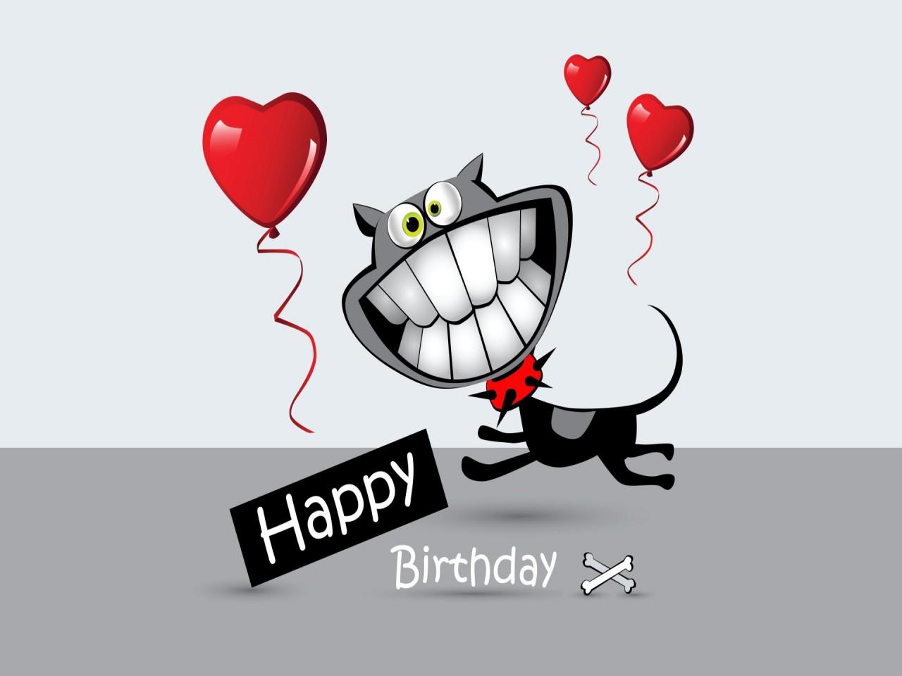 Funny Birthday Wallpapers - Top Free Funny Birthday Backgrounds -  WallpaperAccess
