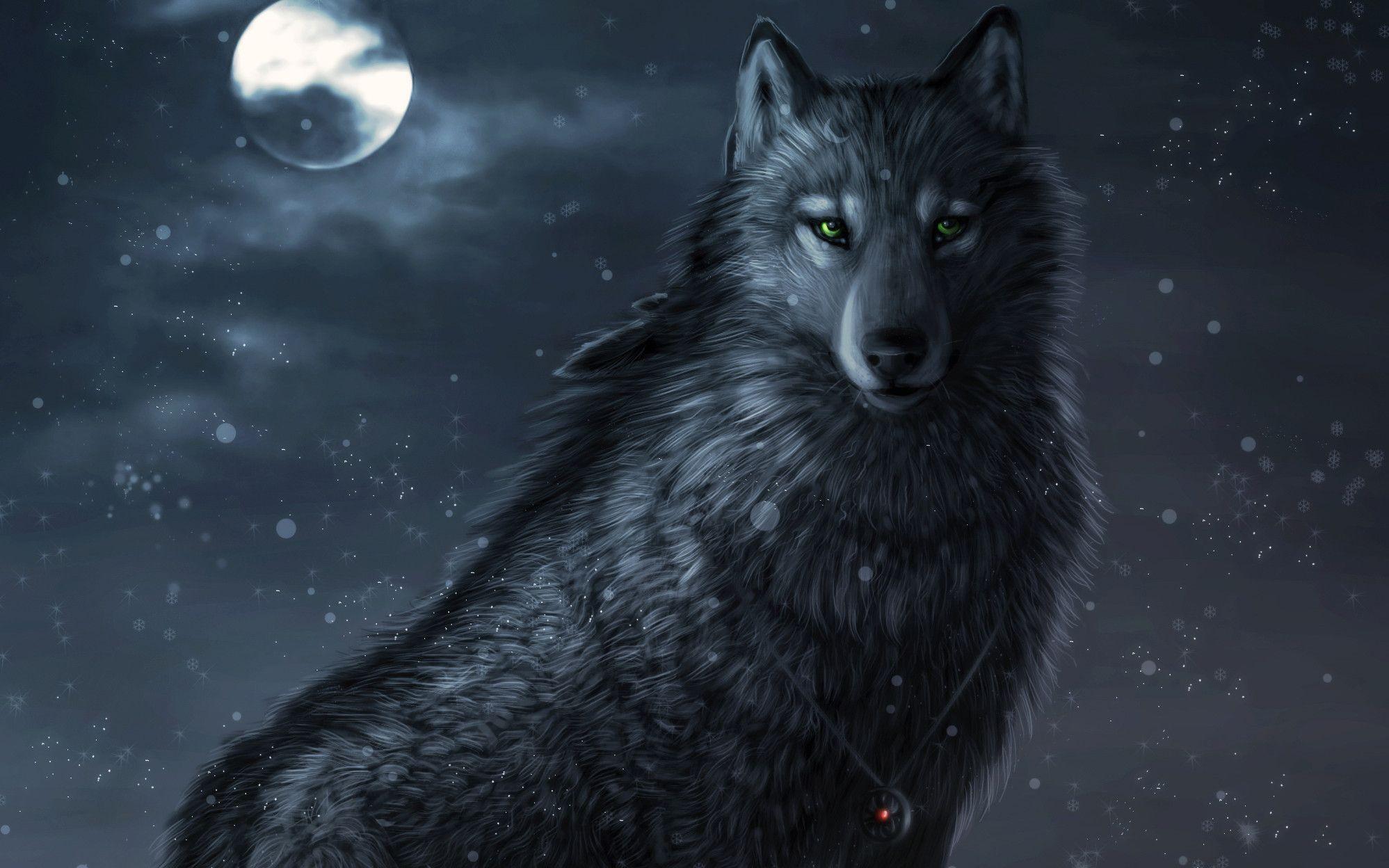 1997x1248 Desktop Background Wolf