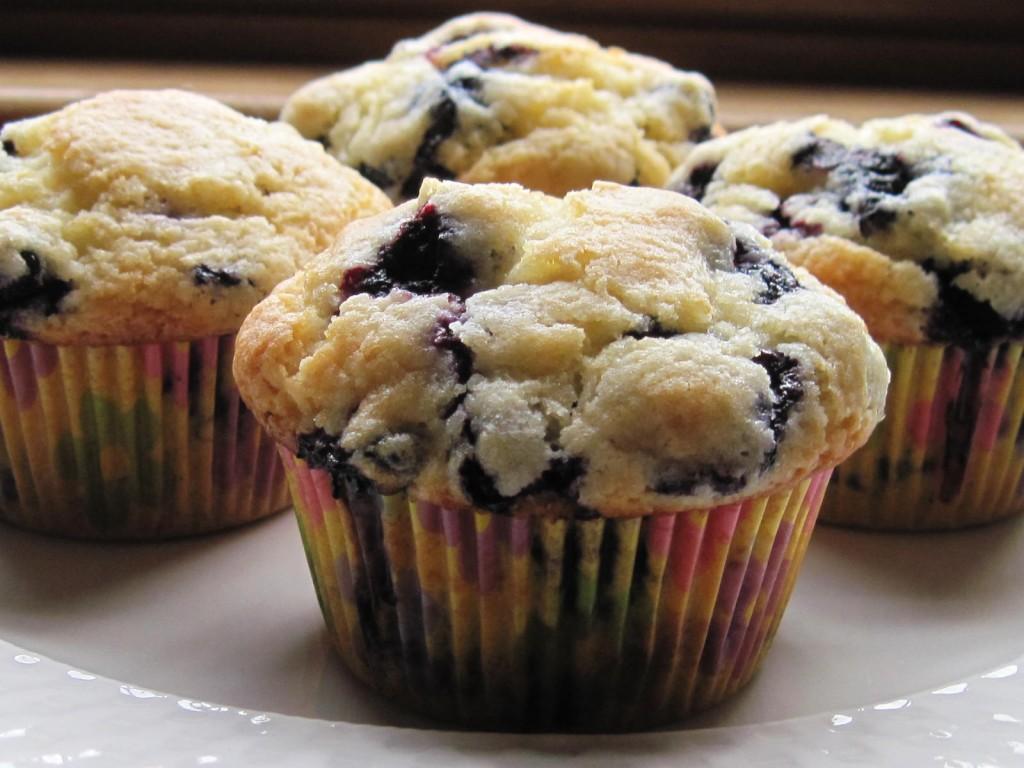 1024x768 Link Up! The Theme is.Blueberries!. Make Ahead Meals For Busy Moms