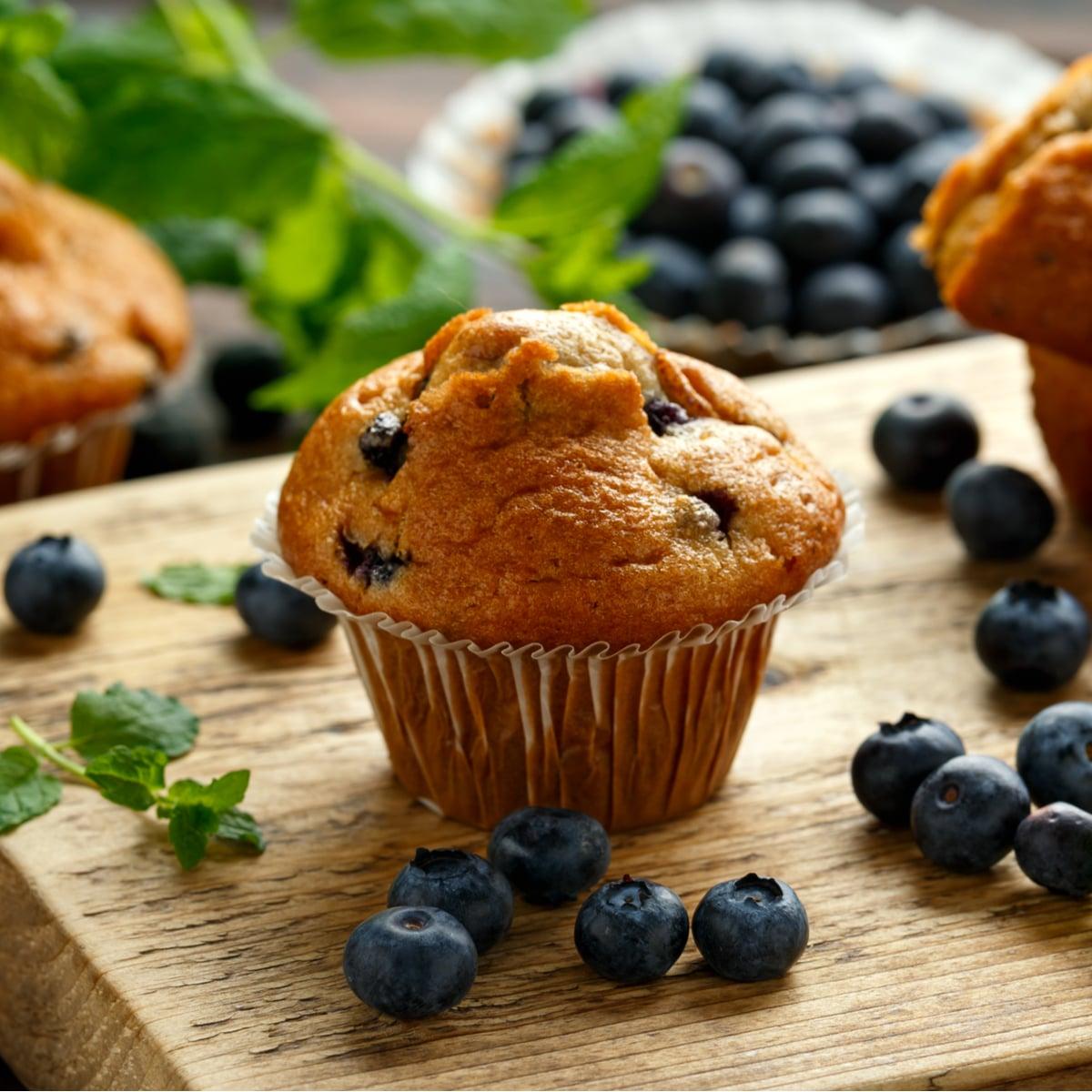 Blueberry Muffins Wallpapers Top Free Blueberry Muffins Backgrounds