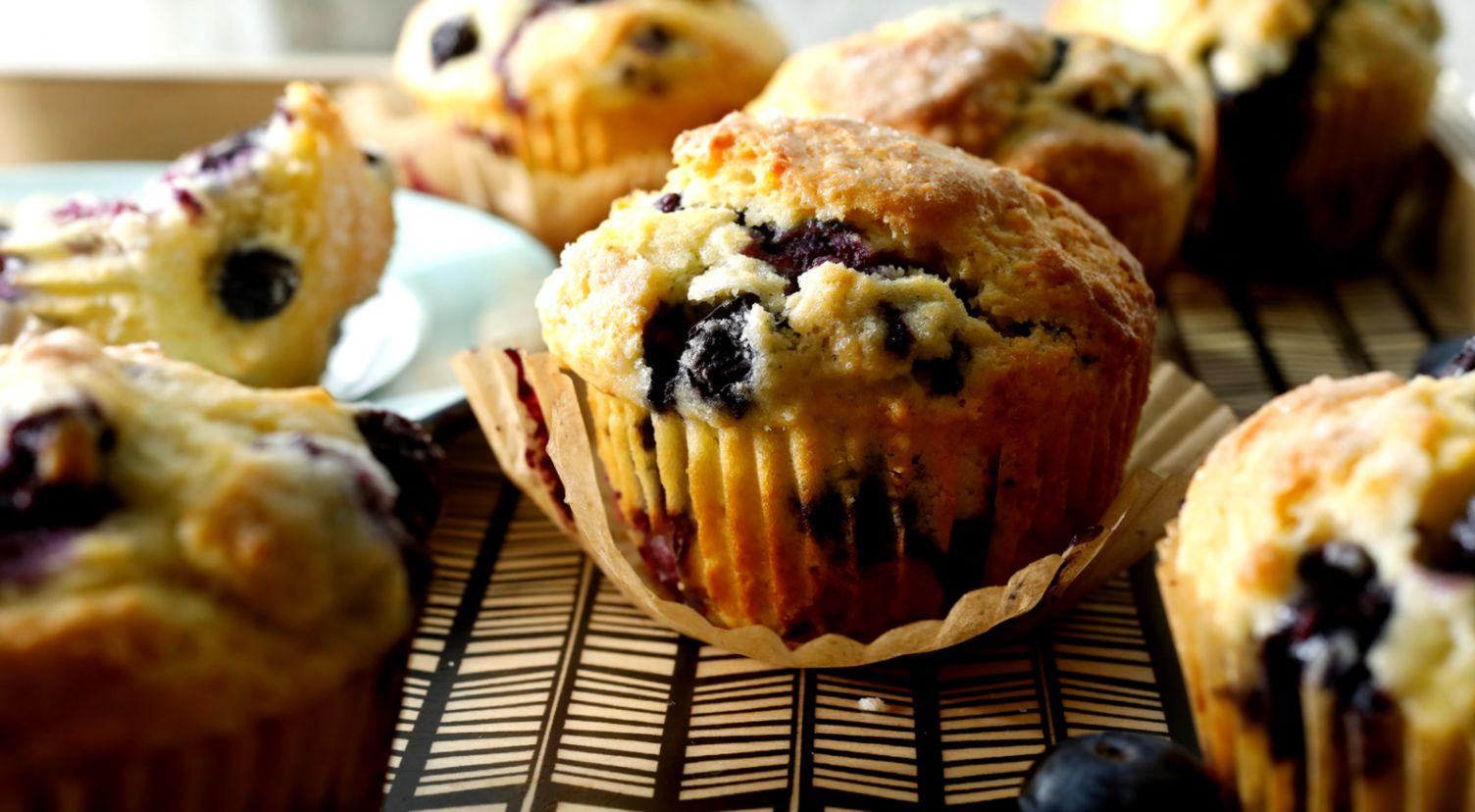 1504x828 Blueberry Muffin Wallpaper