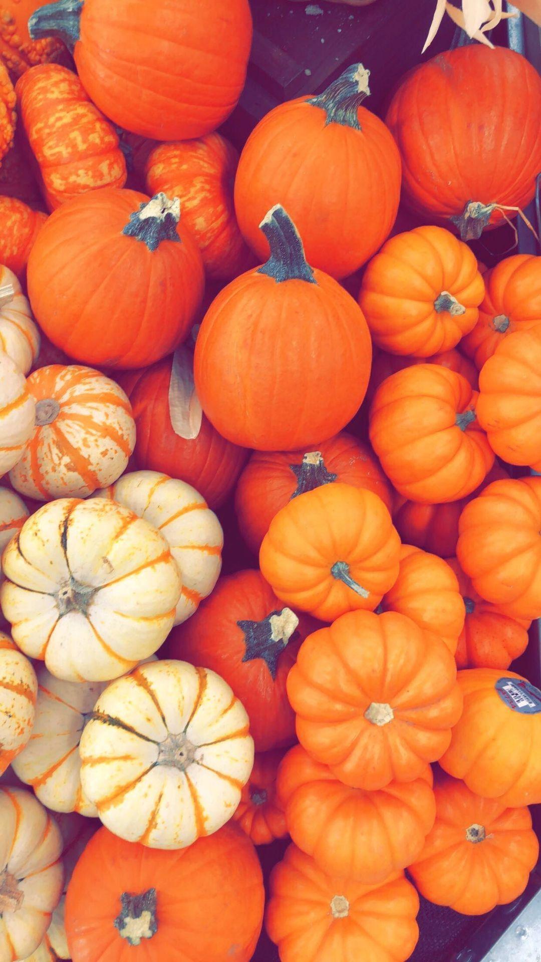 1080x1920 Aesthetic Pumpkin, iPhone, Desktop HD Background / Wallpaper (1080p, 4k) #hdwallpa. Pumpkin wallpaper, iPhone wallpaper fall, Fall wallpaper