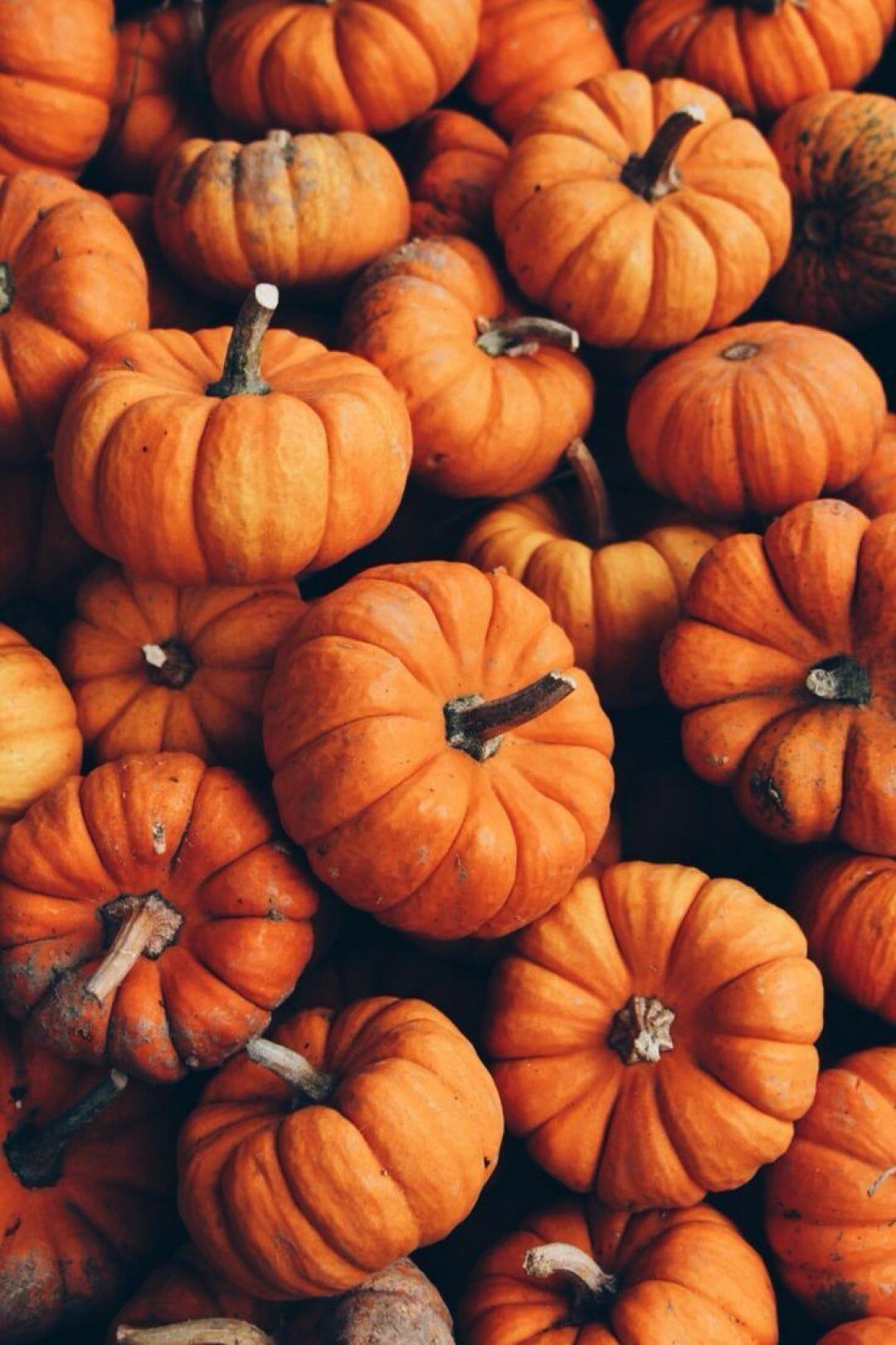 1080x1621 Aesthetic Pumpkin, iPhone, Desktop HD Background / Wallpaper (1080p, 4k) HD Wallpaper (Desktop Background / Android / iPhone) (1080p, 4k) (1080x1621) (2021)