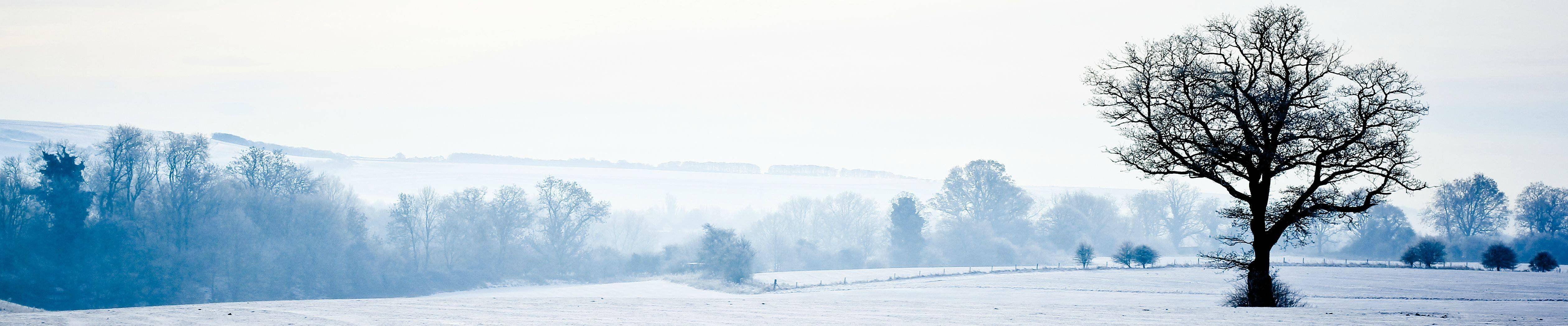 5039x1049 Triple Monitor Christmas Wallpaper