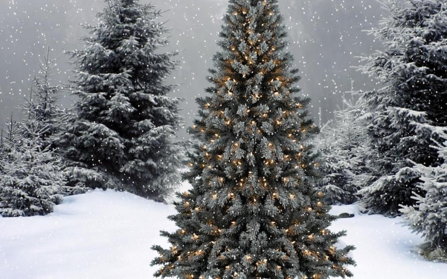 1440x900 Dual Screen Christmas Wallpaper