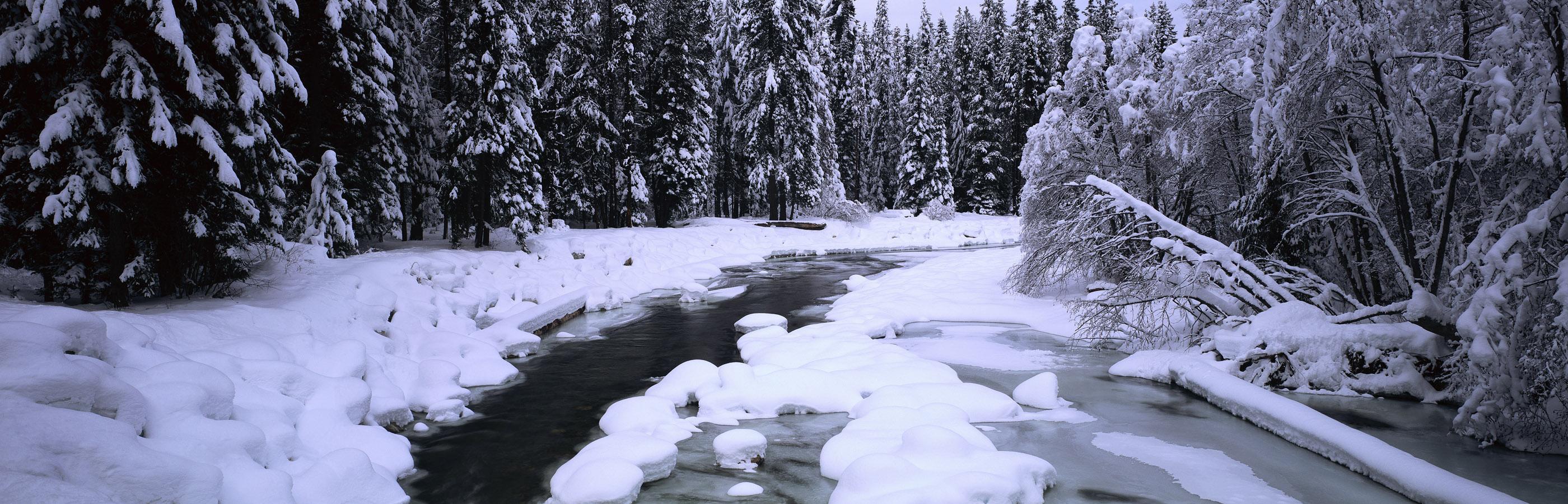 2800x900 Landscape Wallpaper Screen Wallpaper Snow