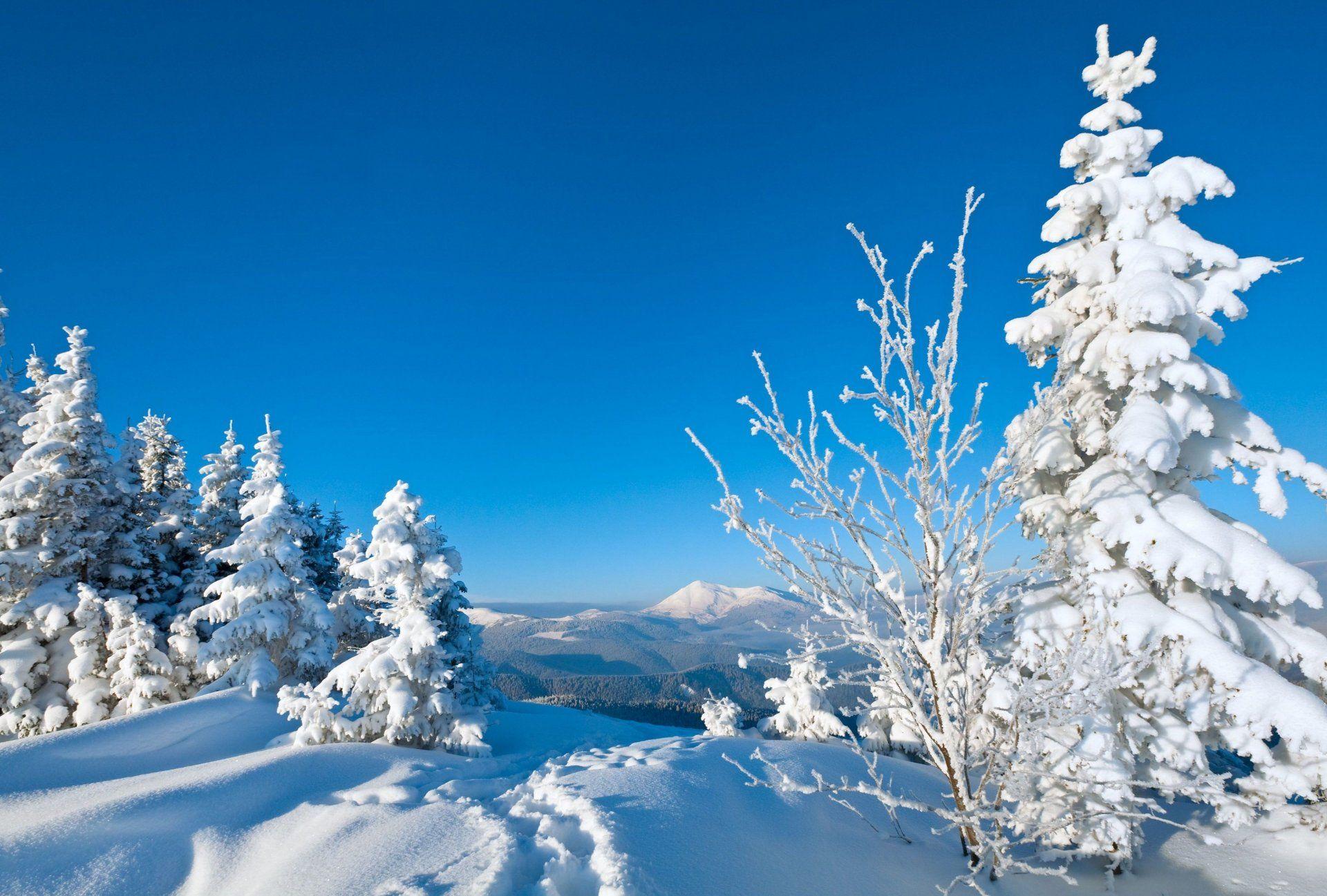 1920x1297 Winter Screen Wallpaper