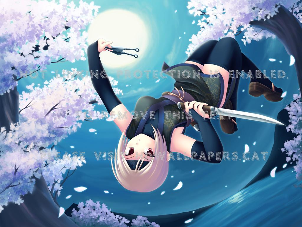 1024x768 ninja girl anime