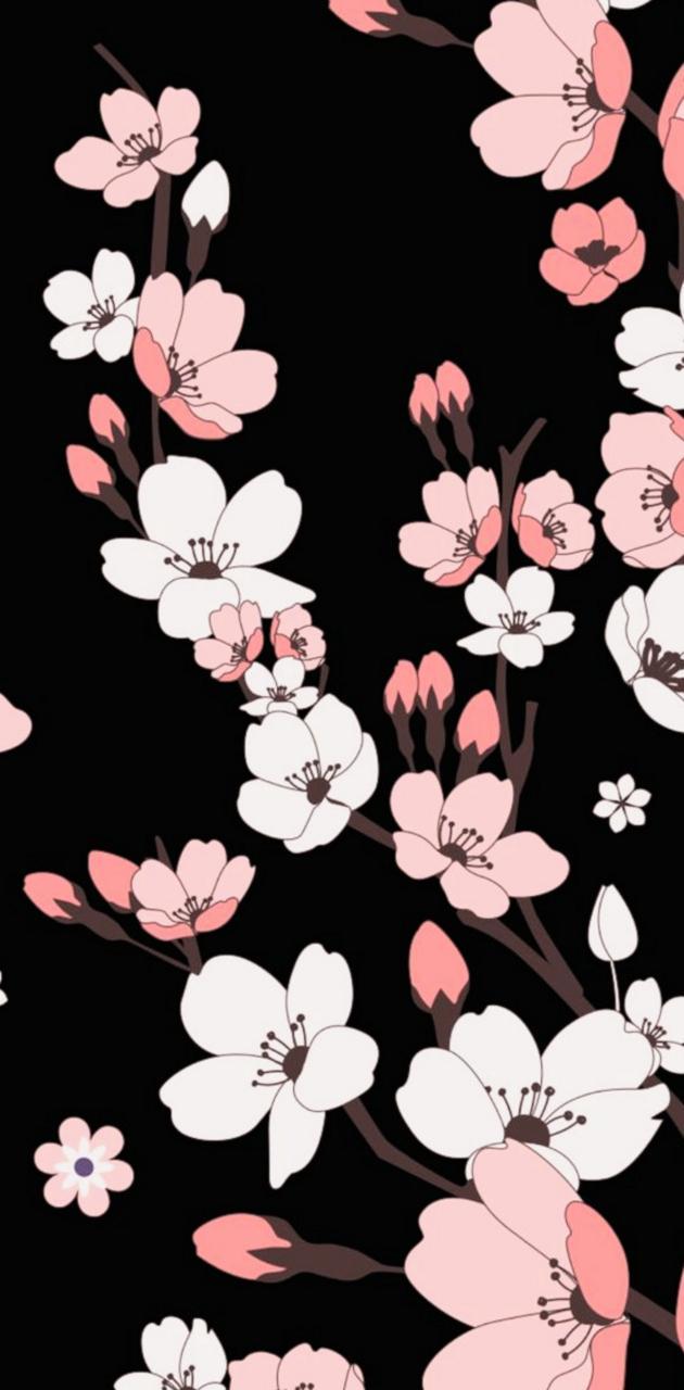 630x1280 Black cherry blossom wallpaper