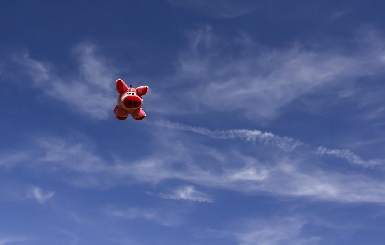 1332x850 Wallpaper the sky, toy, pig, pig, flying pig image for desktop, section минимализм