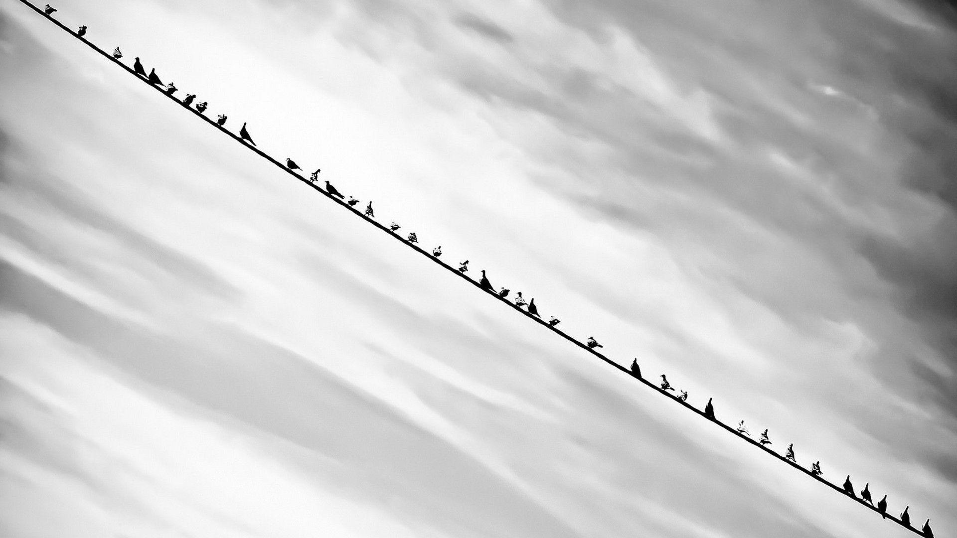 1920x1080 monochrome, Black, White, Birds, Nature, Minimalism, Clouds