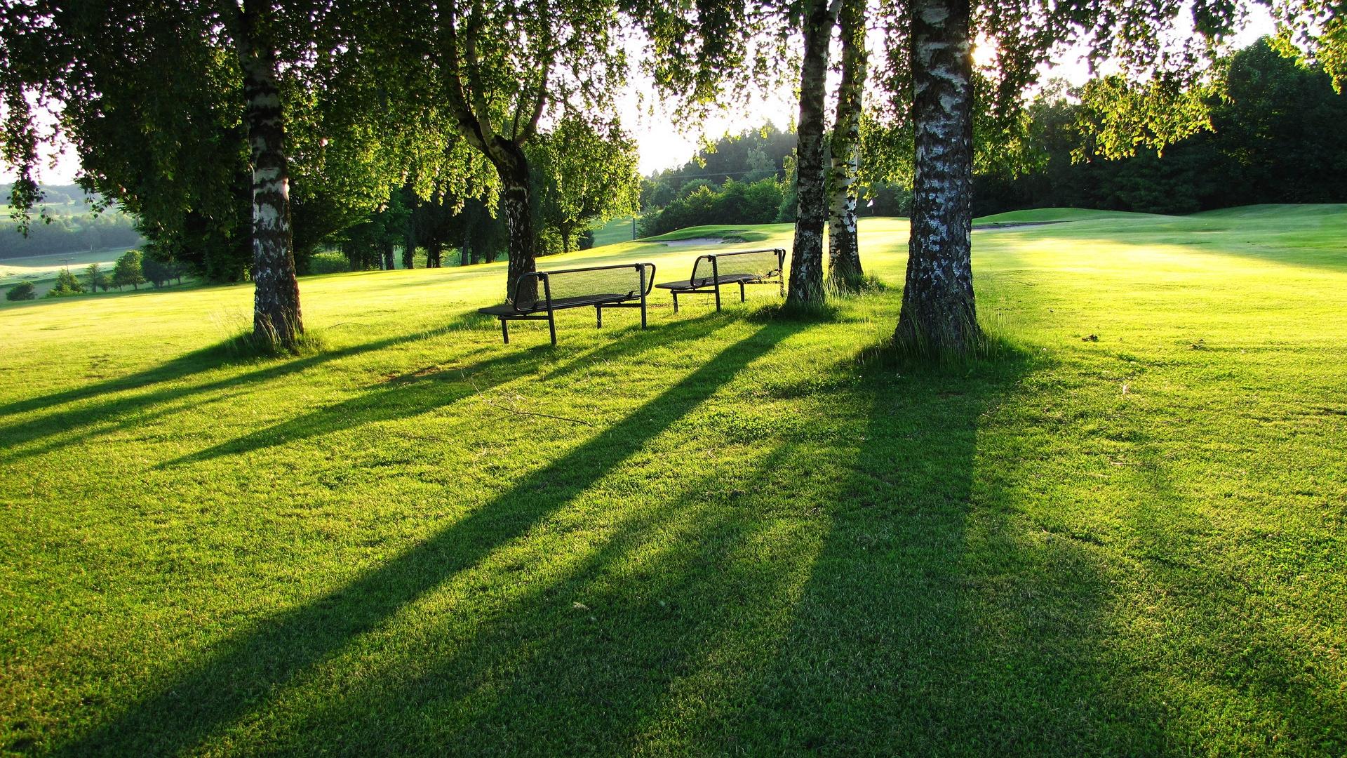 1920x1080 Green Park desktop PC and Mac wallpaper