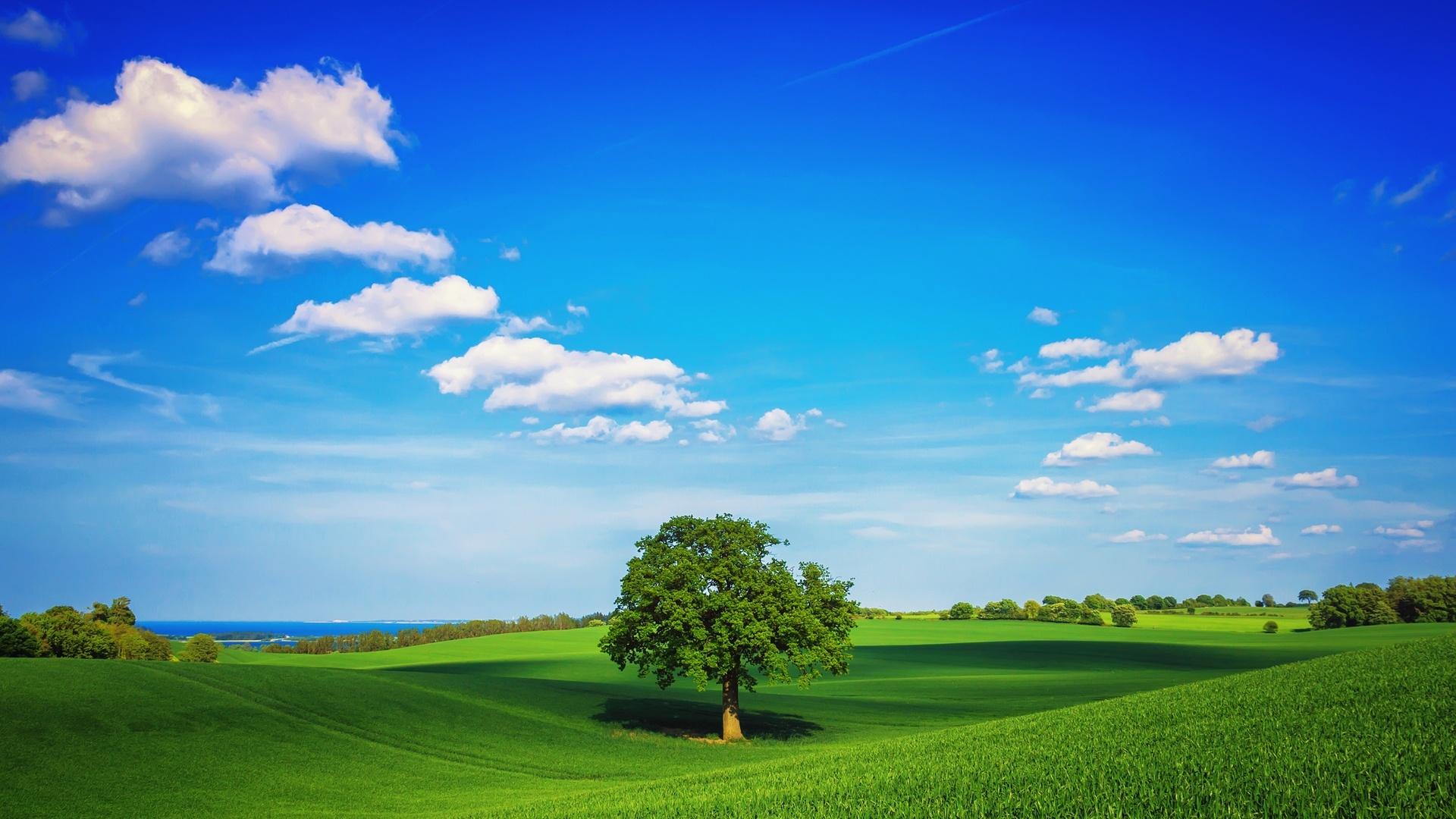 1920x1080 Free download Superb Natural Green Park High Definition Wallpaper HD wallpaper [1920x1080] for your Desktop, Mobile & Tablet. Explore Superb Wallpaper. Comic Book Wallpaper, Supreme Wallpaper, 2K Wallpaper