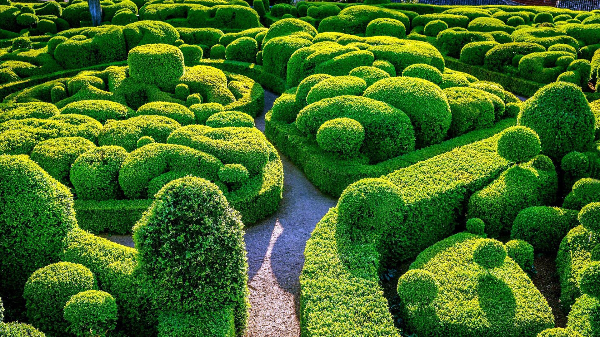 1920x1080 Green Park HD Wallpaper
