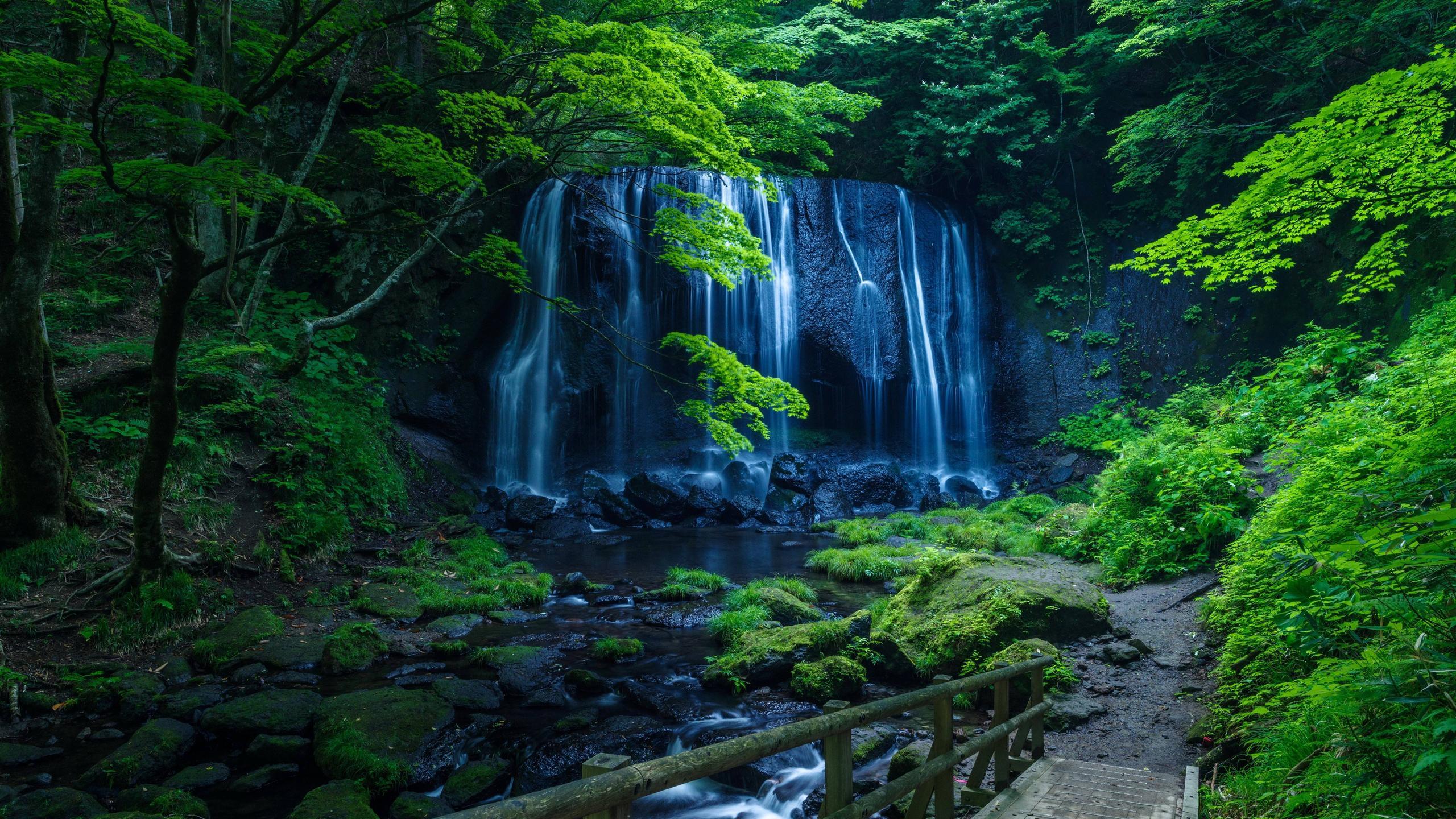 2560x1440 Wallpaper Waterfall, stream, trees, green, park 5120x2880 UHD 5K Picture, Image