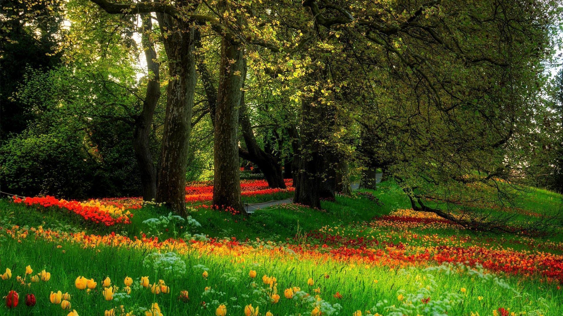 1920x1080 Parks Wallpaper