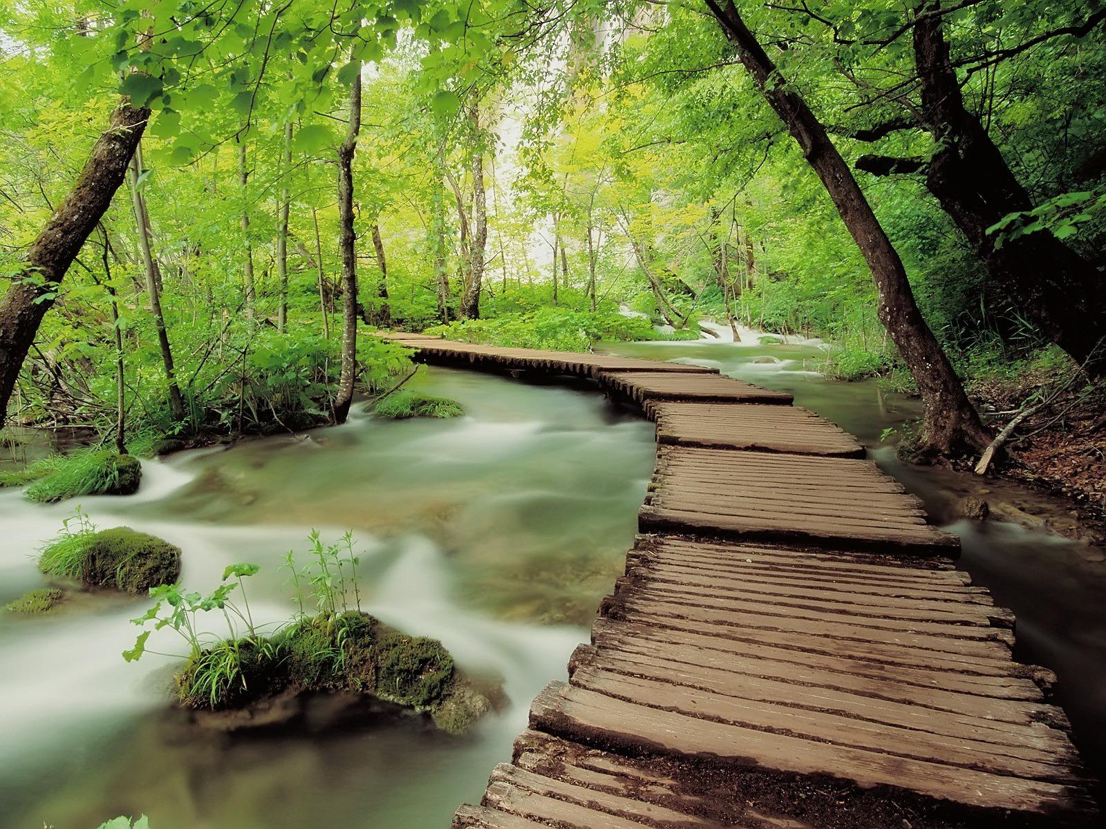 1600x1200 Plitvice National Park Wallpaper Croatia World Wallpaper in jpg format for free download