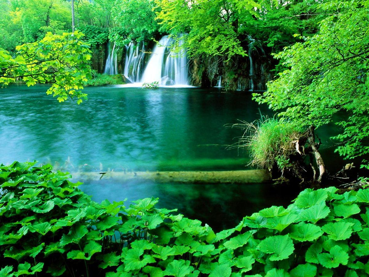 1200x900 Nature, Green, Waterfall background. Download Free picture