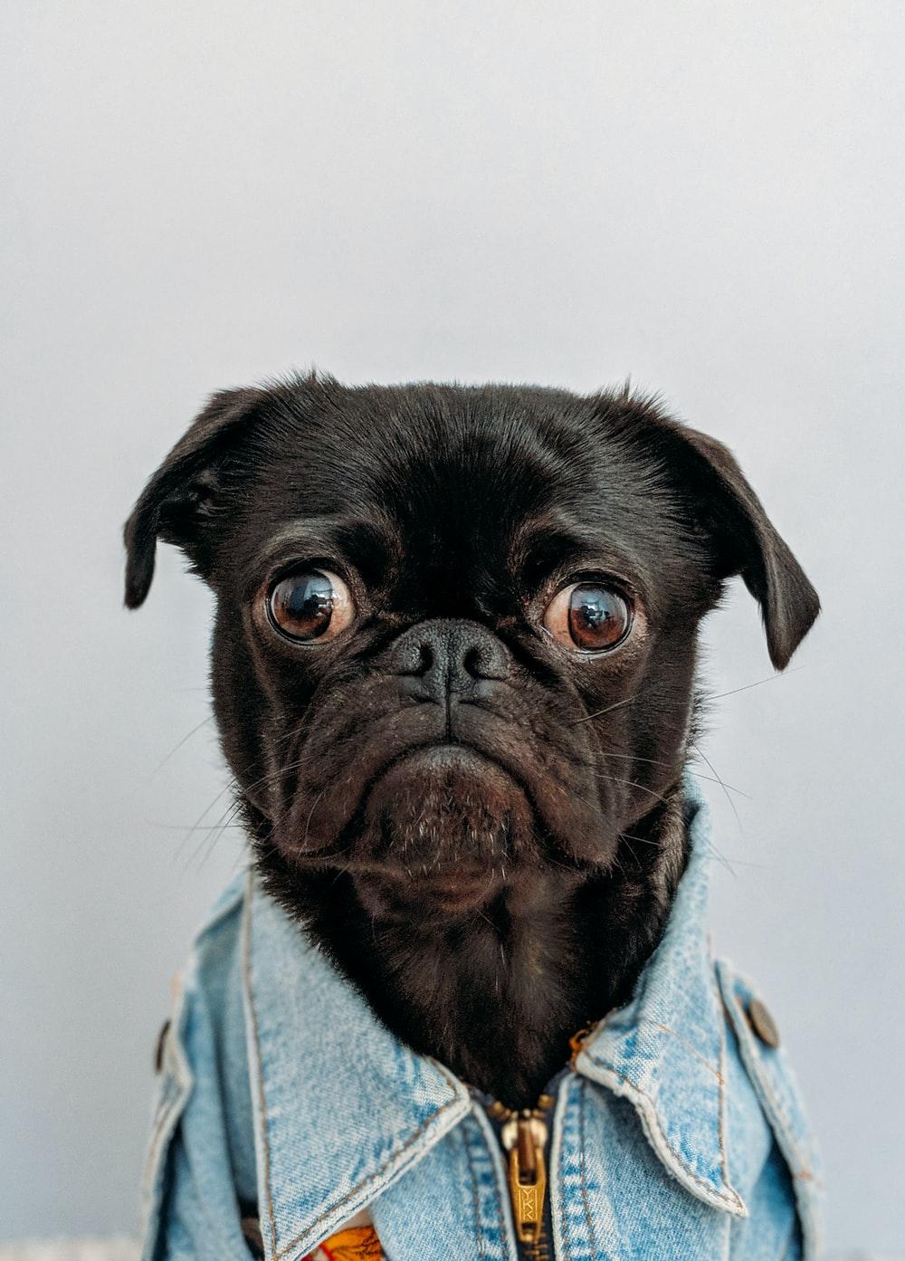 1000x1393 Ugly Picture. Download Free Image