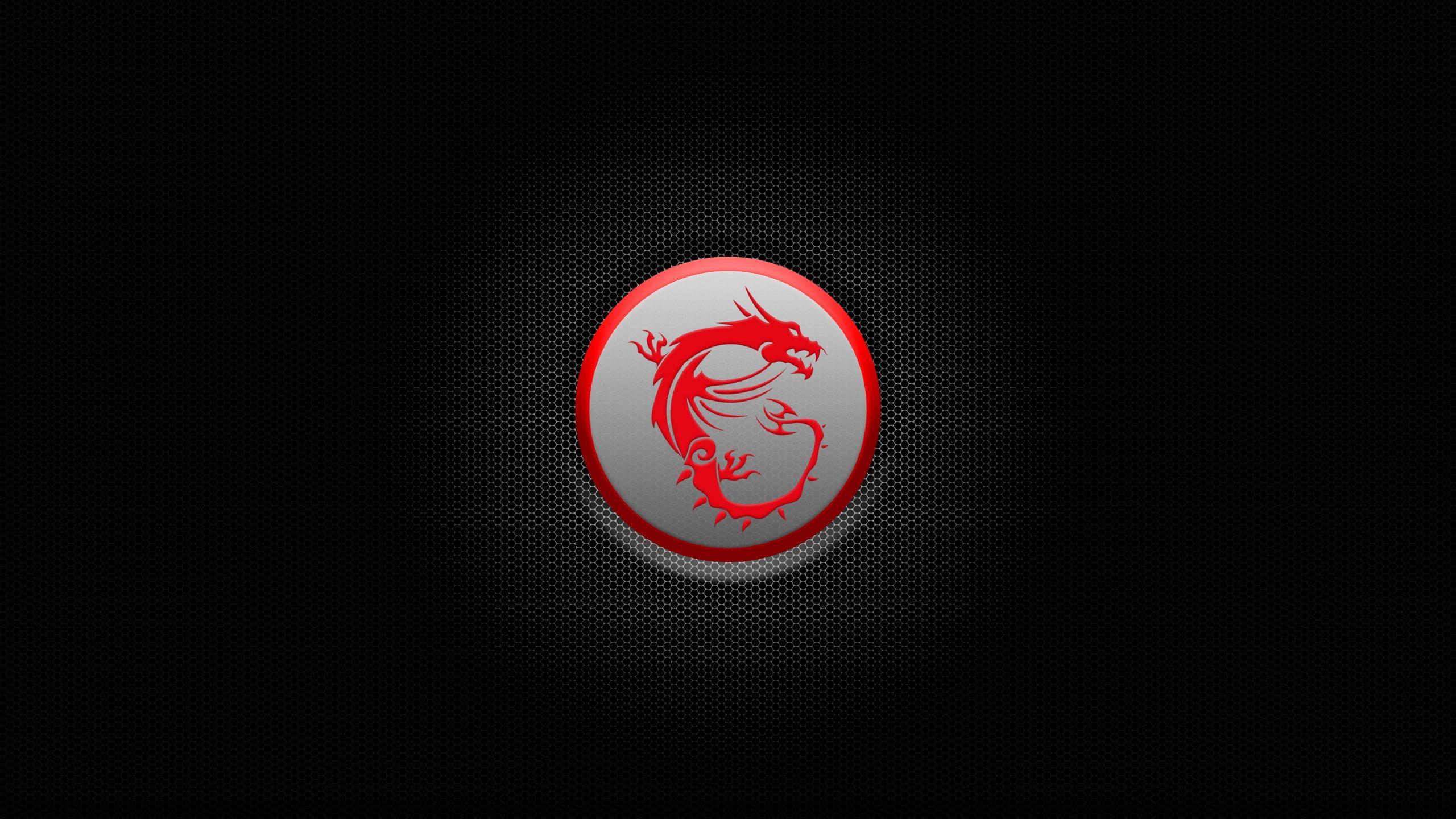 MSI 2560x1440 Wallpapers - Top Free MSI 2560x1440 Backgrounds ...