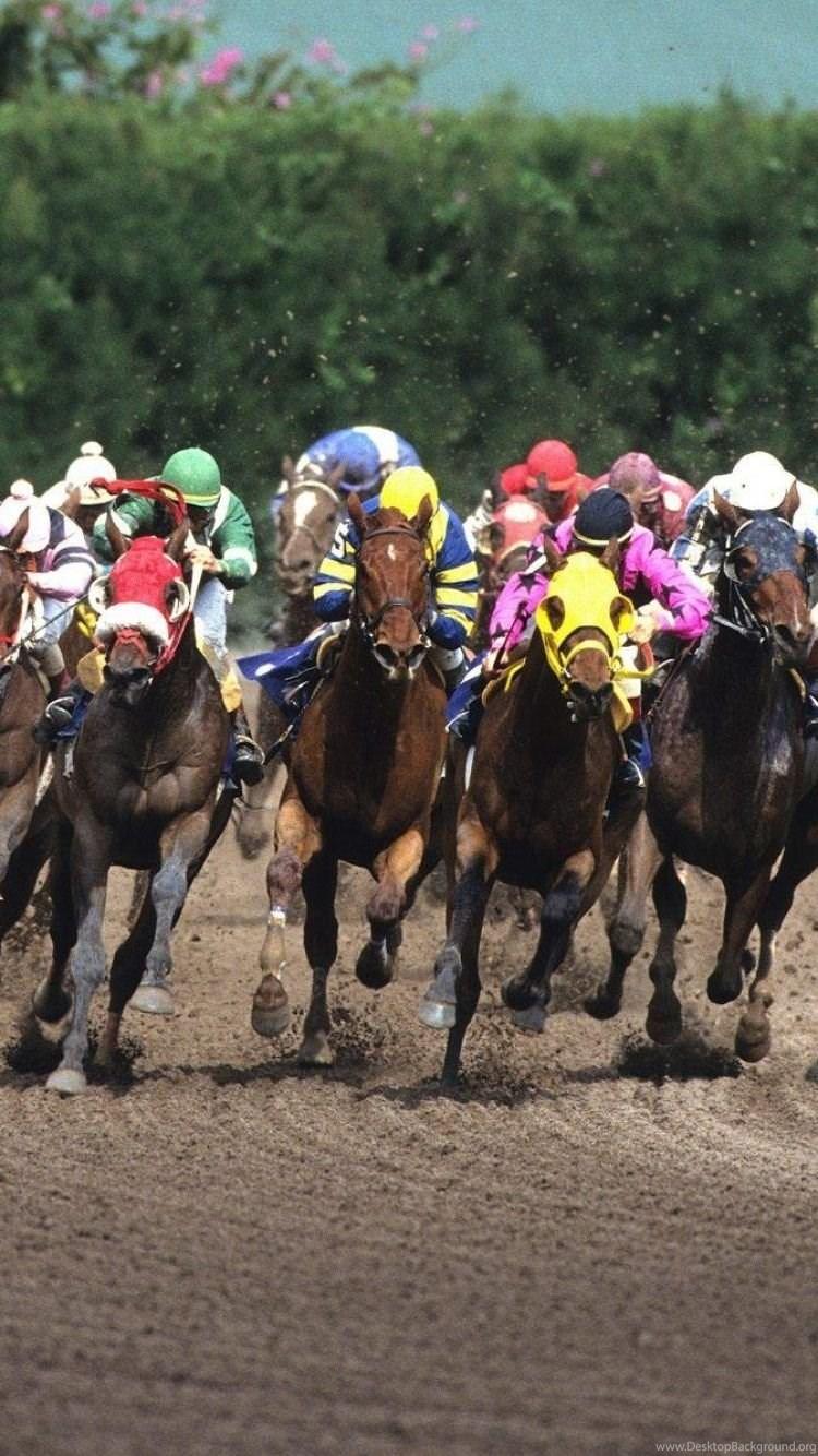 750x1334 IPhone 6 Sports Horse Racing Wallpaper Desktop Background