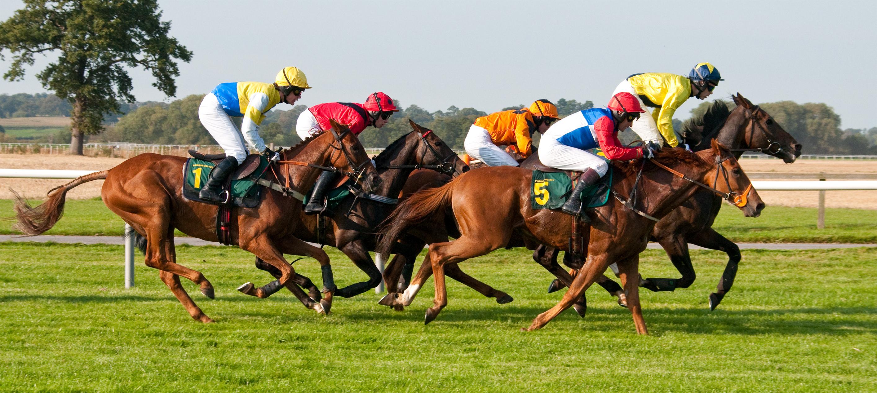 2829x1268 Horse Racing Wallpaper G6n4h83