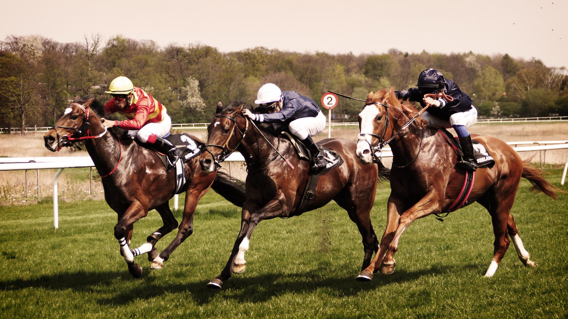 1920x1080 Free download Horse race HD Wallpaper 1920x1080 [1920x1080] for your Desktop, Mobile & Tablet. Explore Horse Racing Wallpaper. Horse Wallpaper for Desktop, Horse Scenes Wallpaper, Free Horse Racing Wallpaper Downloads