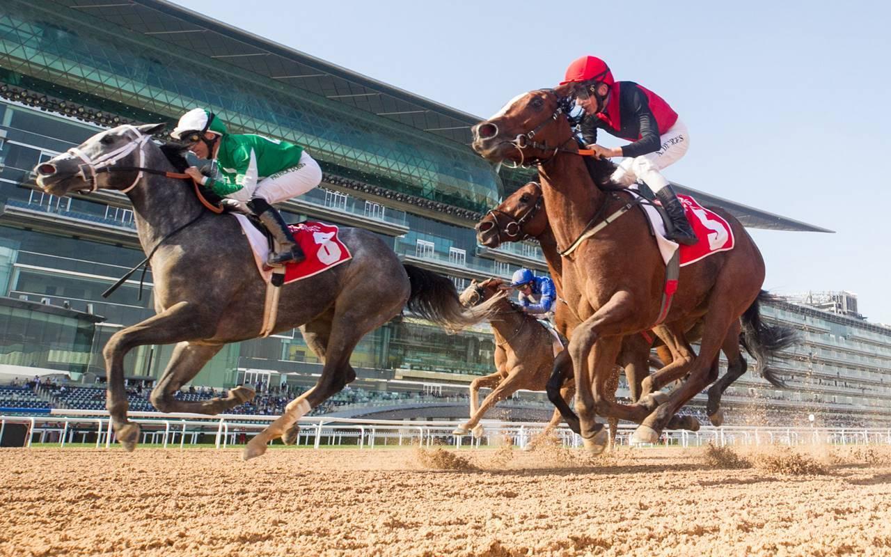 1280x800 Horse Racing Wallpaper for Android