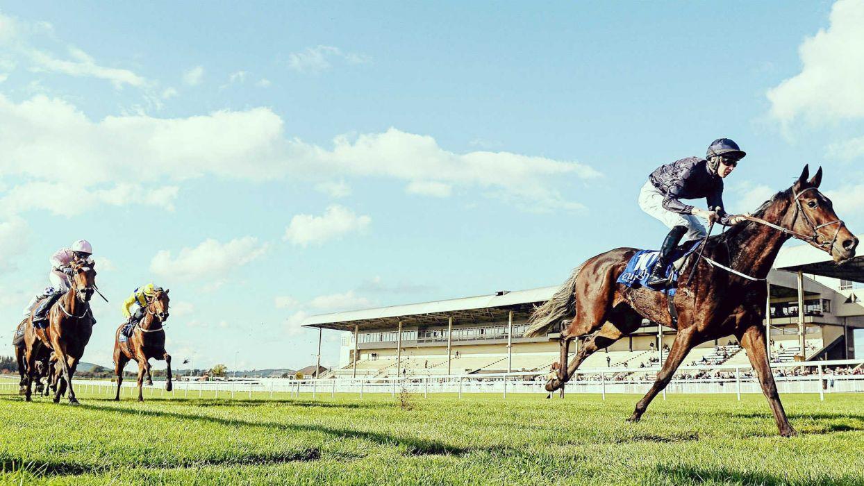 1244x700 HORSE RACING race equestrian sport jockey horses wallpaperx1080