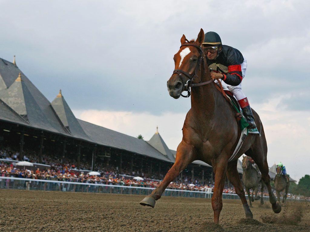 1024x768 High Quality Horse Racing