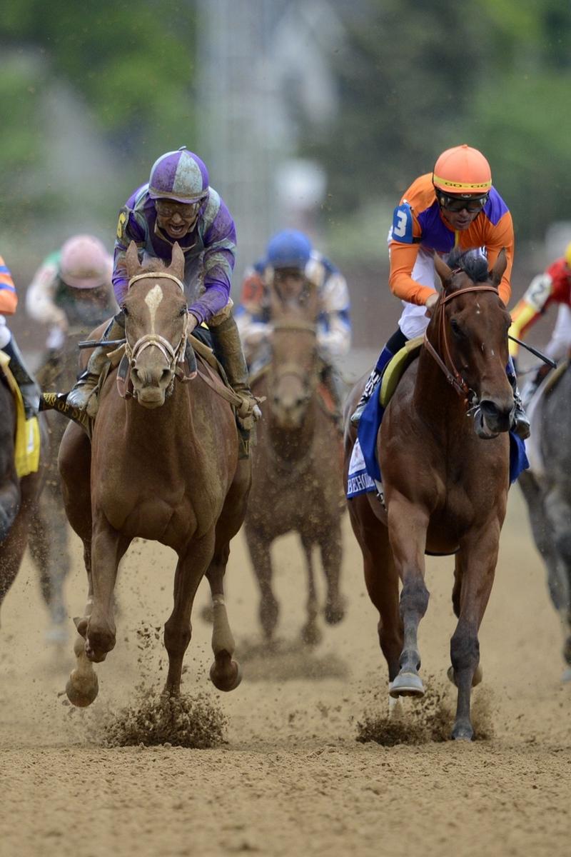 800x1200 Wallpaper Kentucky Derby, Kentucky Derby Kentucky Horse Racing Wallpaper HD
