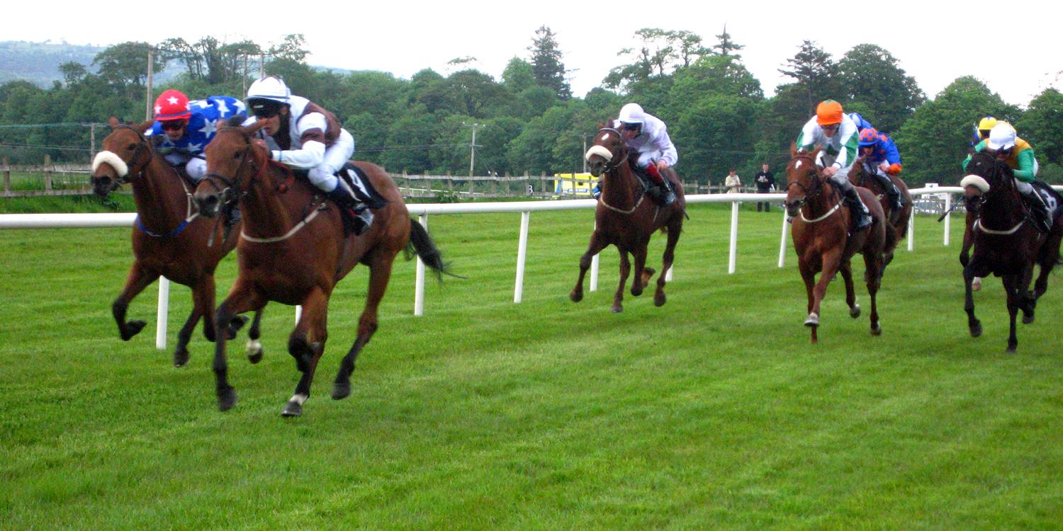 1500x750 Free download horse racing wallpaper brown horse racing wallpaper brown horse [1500x750] for your Desktop, Mobile & Tablet. Explore Horse Racing Wallpaper. Horse Wallpaper for Desktop, Horse Scenes Wallpaper