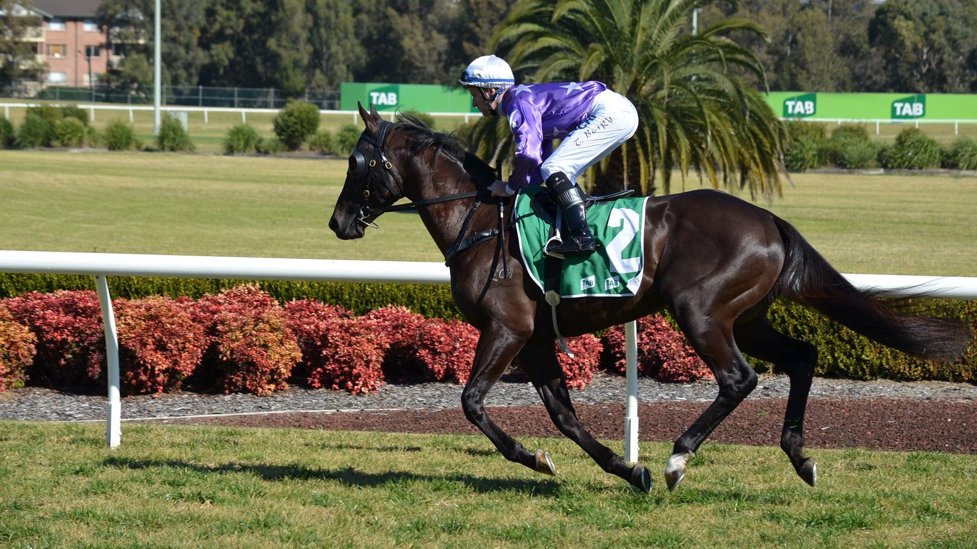 1920x1080 Horse Racing Awesome HD Wallpaper HD Wallpaper