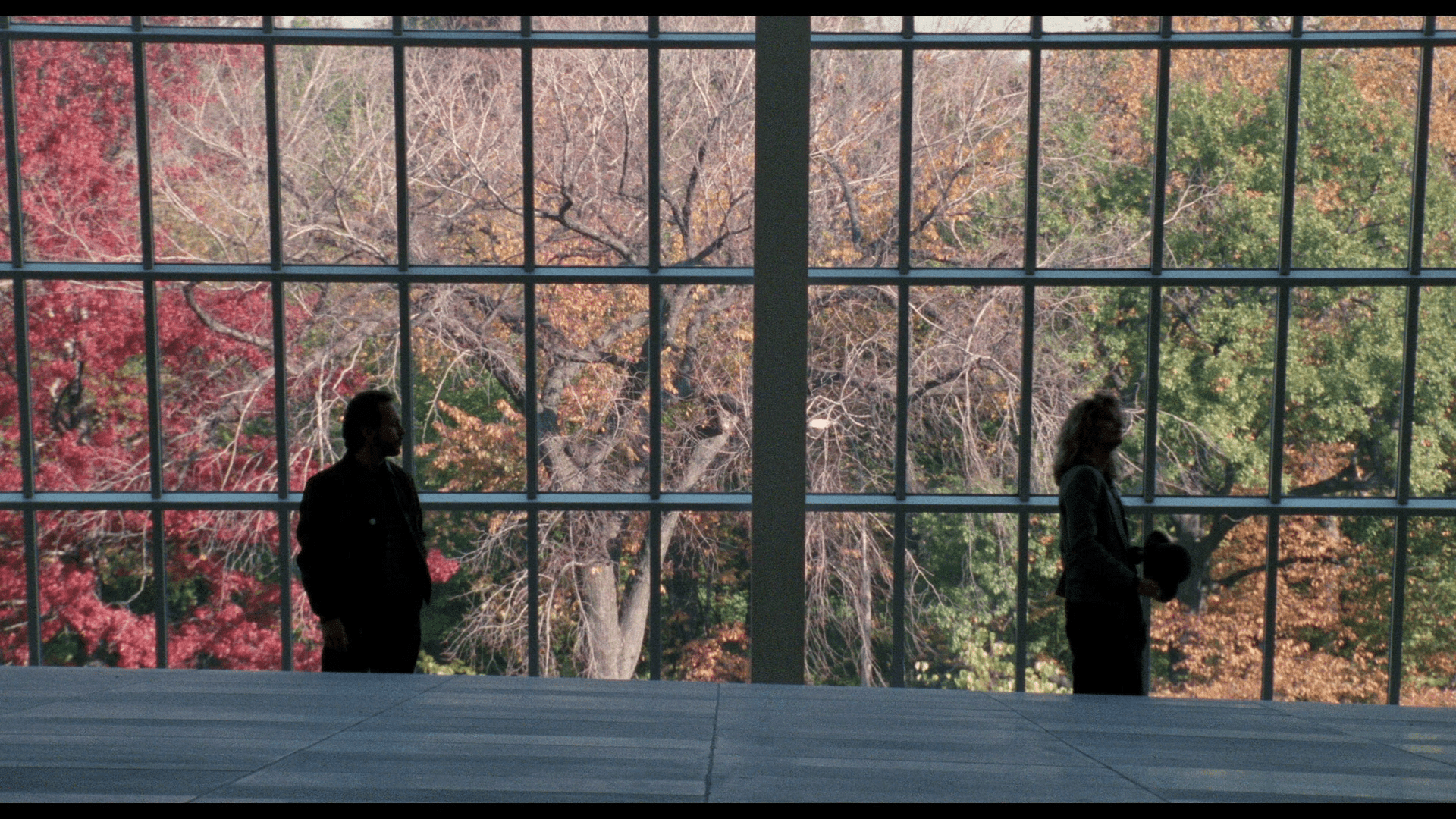 1920x1080 When Harry Met Sally [30th Anniversary Edition]
