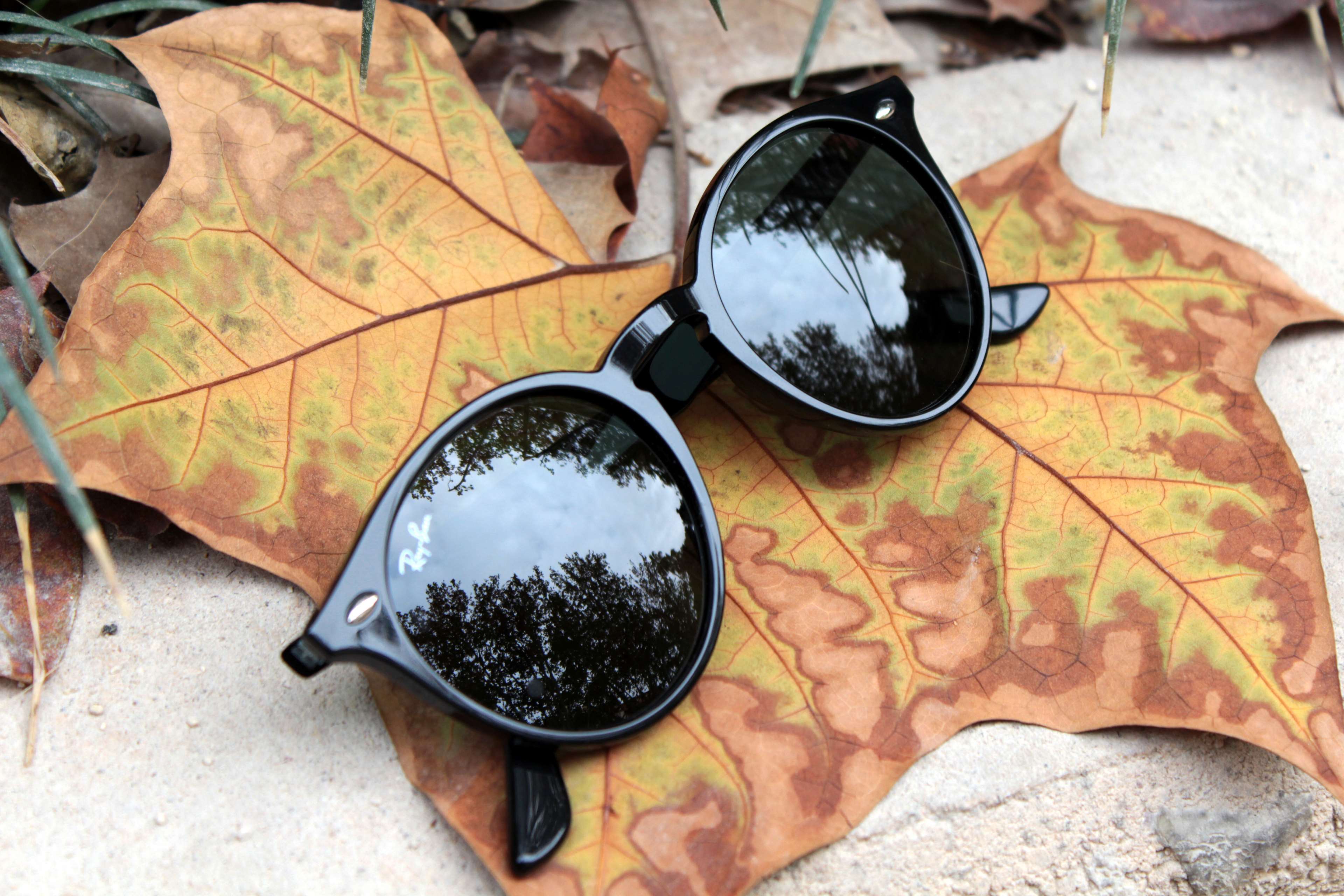 3840x2560 autumn, closeup, eyewear, glasses, leaf, rayban, sunglasses 4k wallpaper. Mocah HD Wallpaper