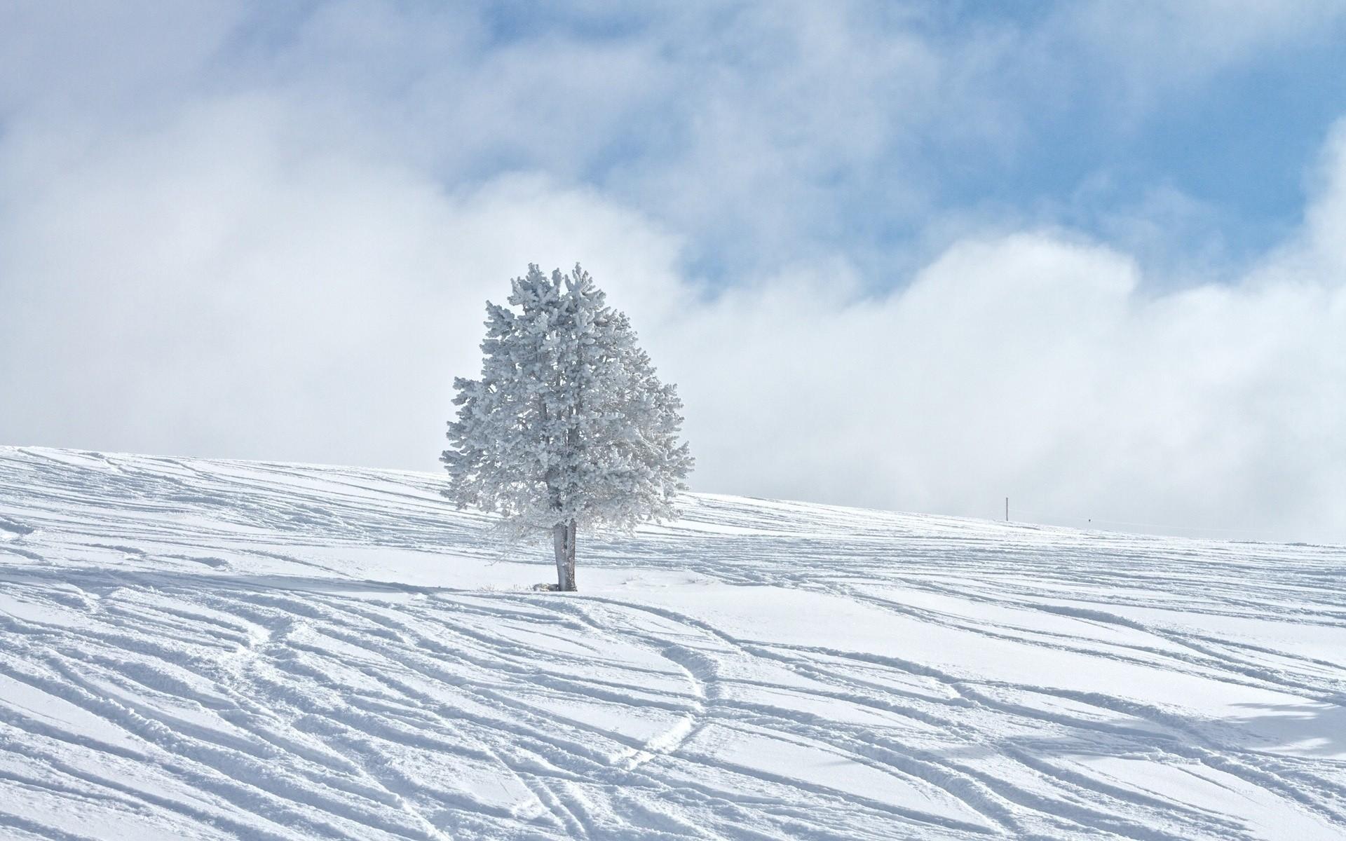 Lonely Winter Wallpapers - Top Free Lonely Winter Backgrounds ...