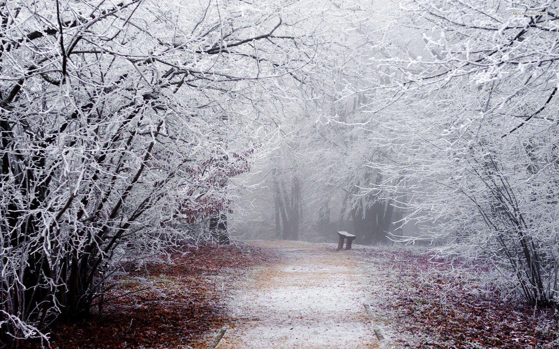 A Lonely Winter Wallpapers - Top Free A Lonely Winter Backgrounds ...