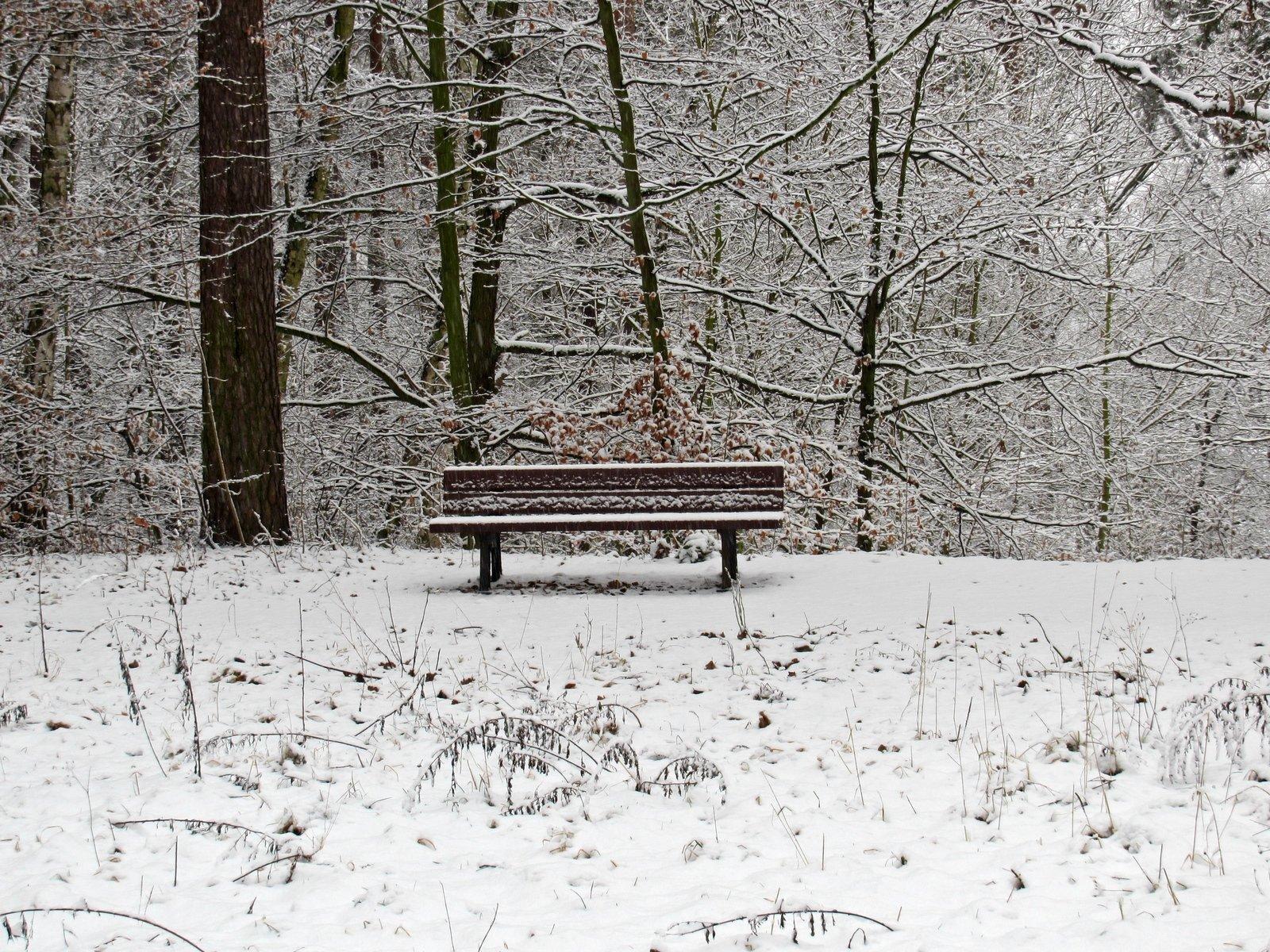 Lonely Winter Wallpapers - Top Free Lonely Winter Backgrounds 