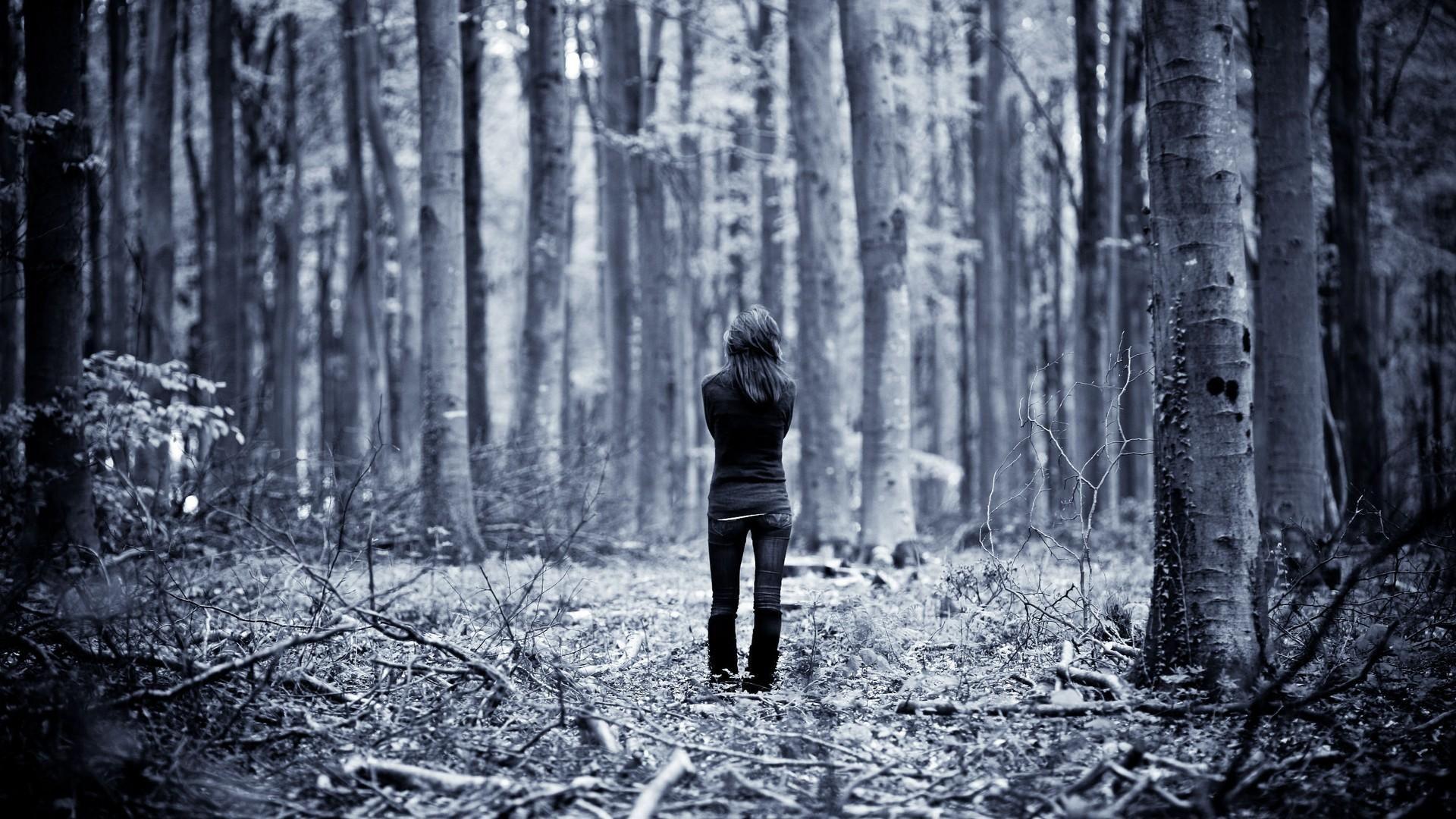 1920x1080 Lonely Girl In The Trees HD Delightful Wallpaper Free HD Wallpaper Lonely Girl In The Trees HD Delightful. Winter wallpaper, Wood wallpaper, Wallpaper