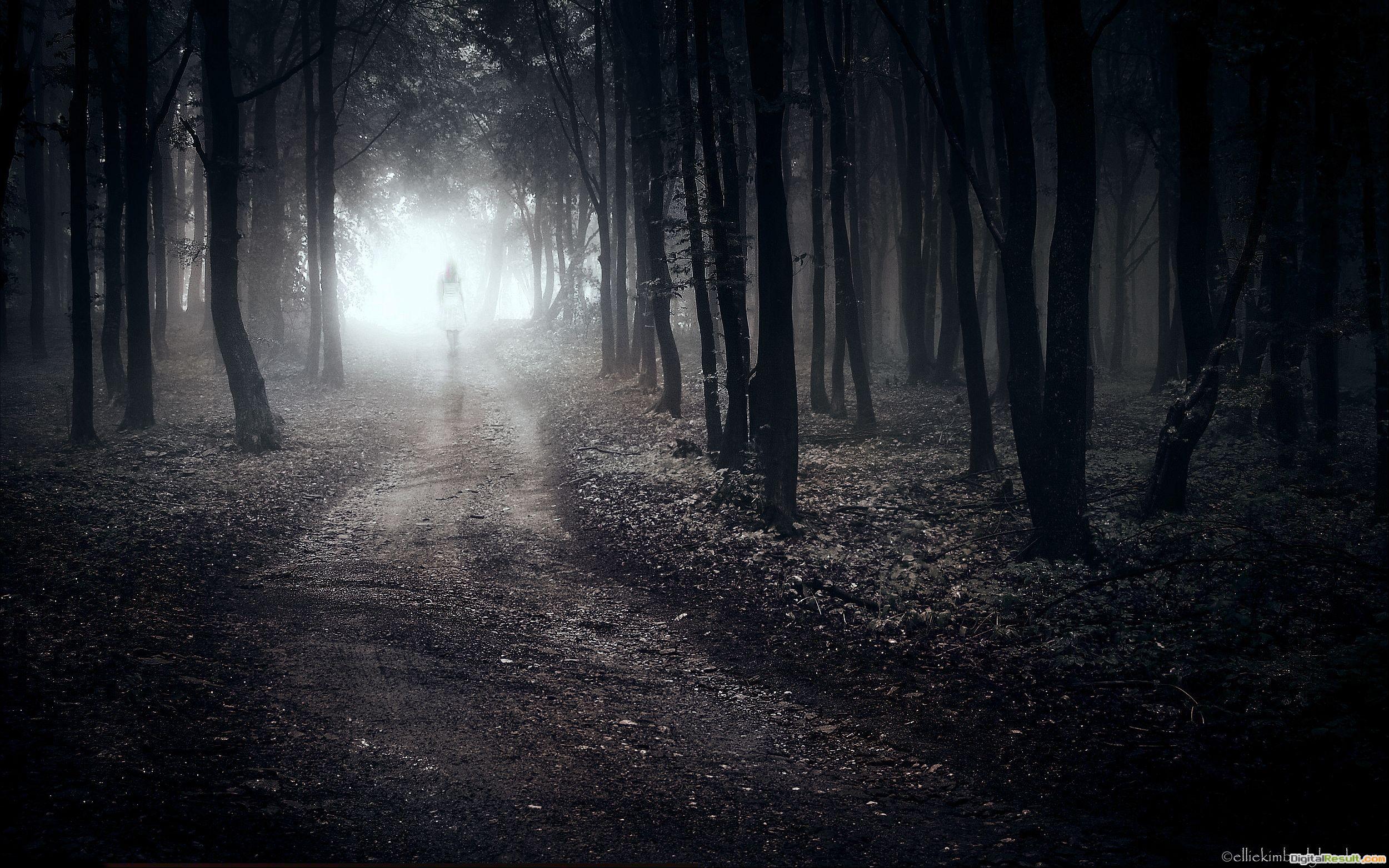 2500x1563 Wallpaper Girl Walking Alone in Forest Path Lonely Sad wallpaper 1084 - Lonely Winter Path Wallpaper