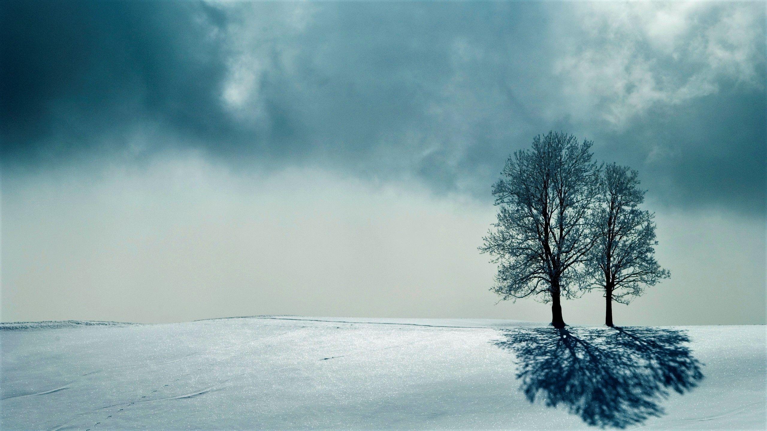 Lonely Winter Wallpapers - Top Free Lonely Winter Backgrounds ...