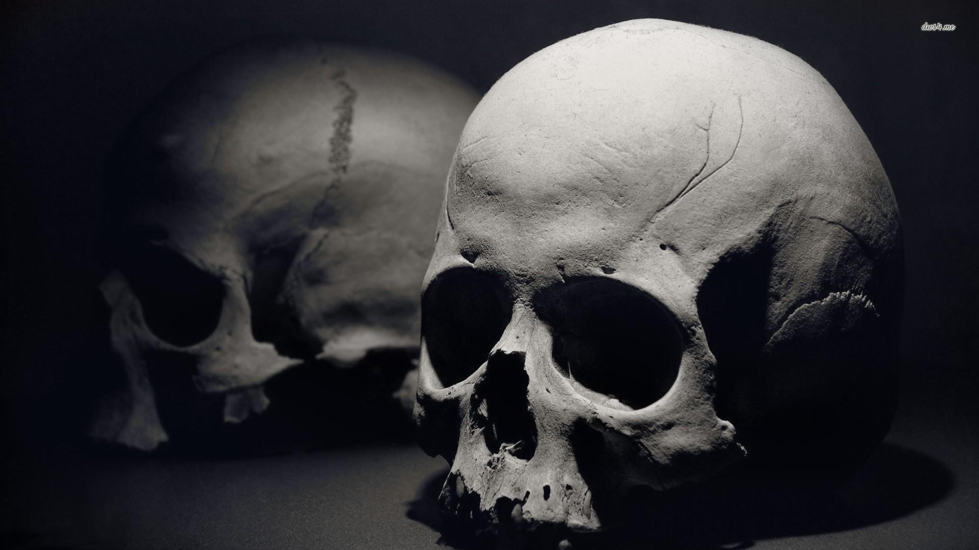 1920x1080 21003 Human Skull 1920×1080 Photography Wallpaper ANTHROPOLOGY STUDENTS' ASSOCIATION
